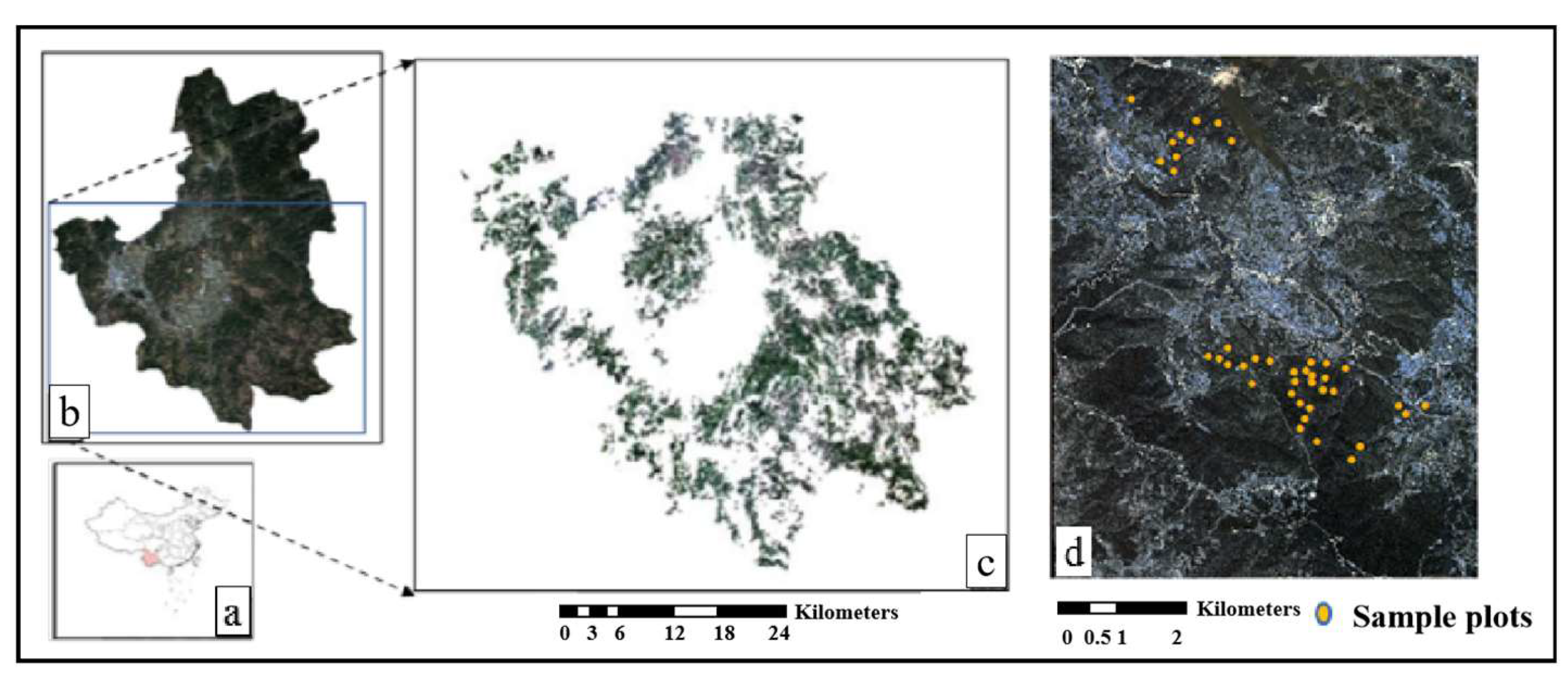 Remotesensing 14 02728 g001