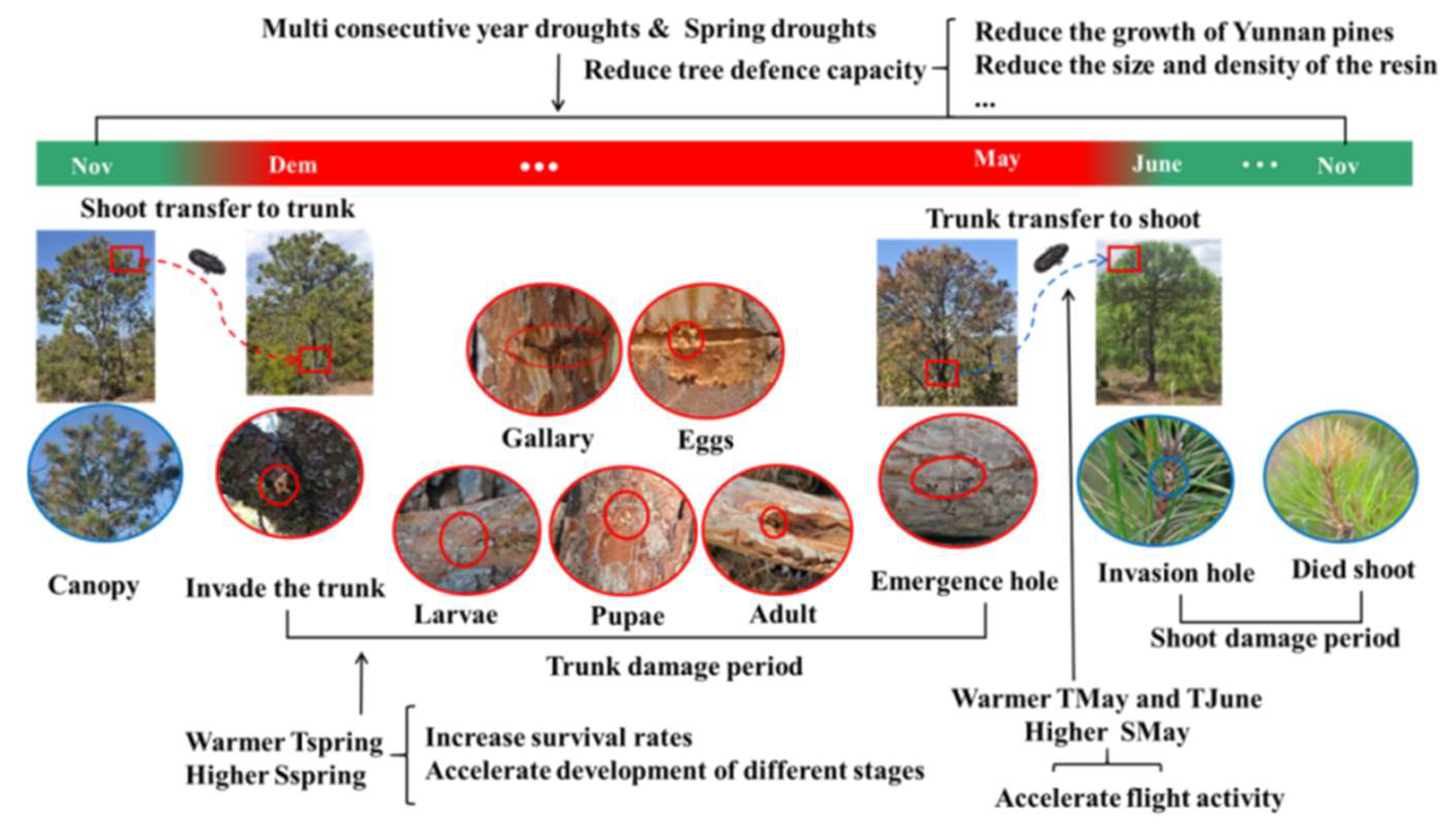 Remotesensing 14 02728 g010