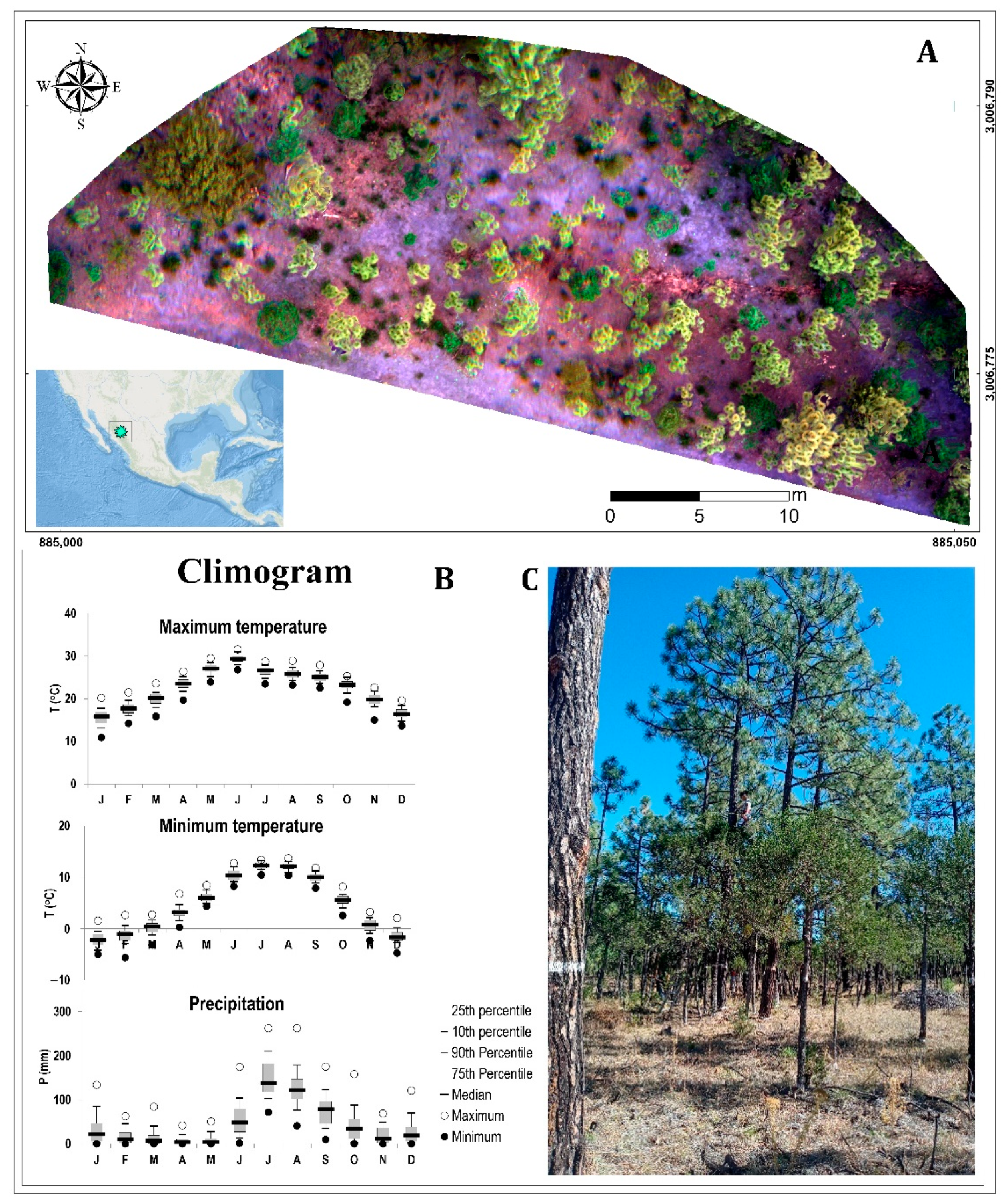 Remotesensing 14 02775 g001 Remotesensing 14 02775 g001