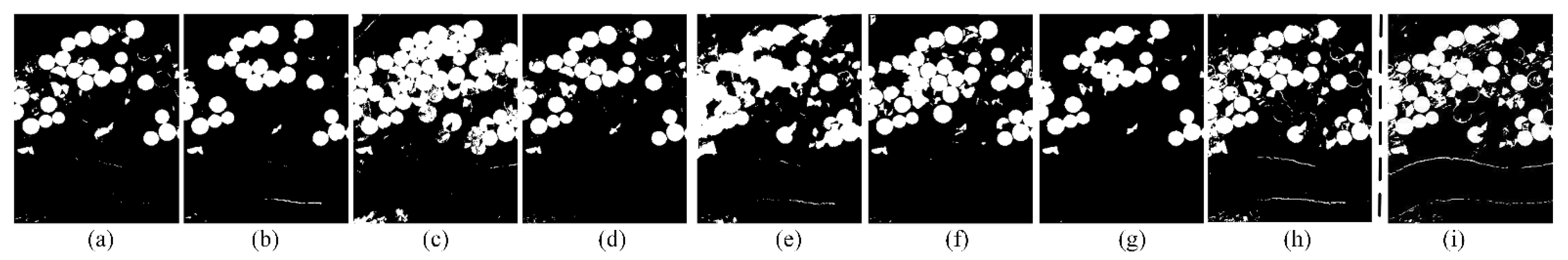 Remotesensing 14 02838 g011