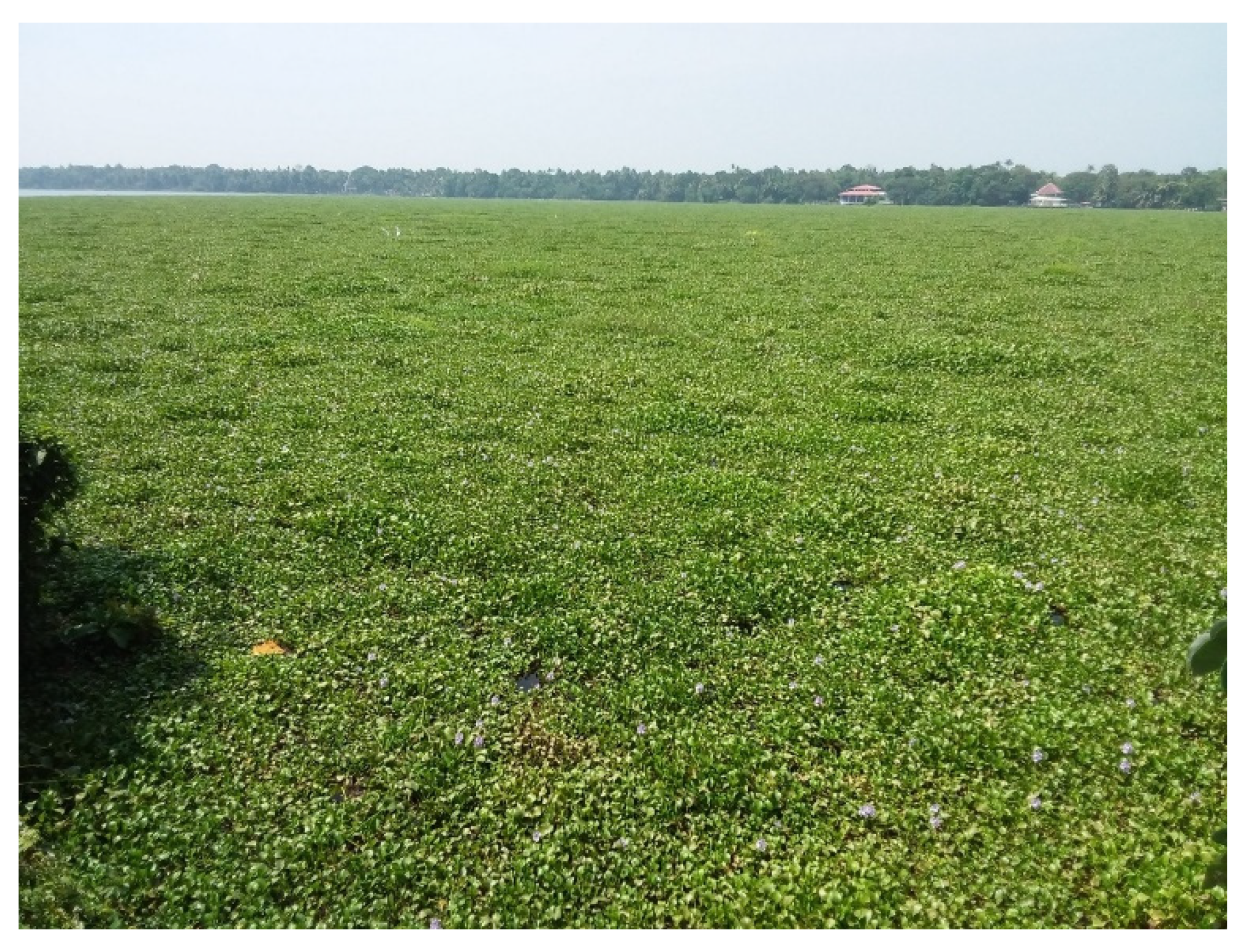 Remotesensing 14 02845 g003