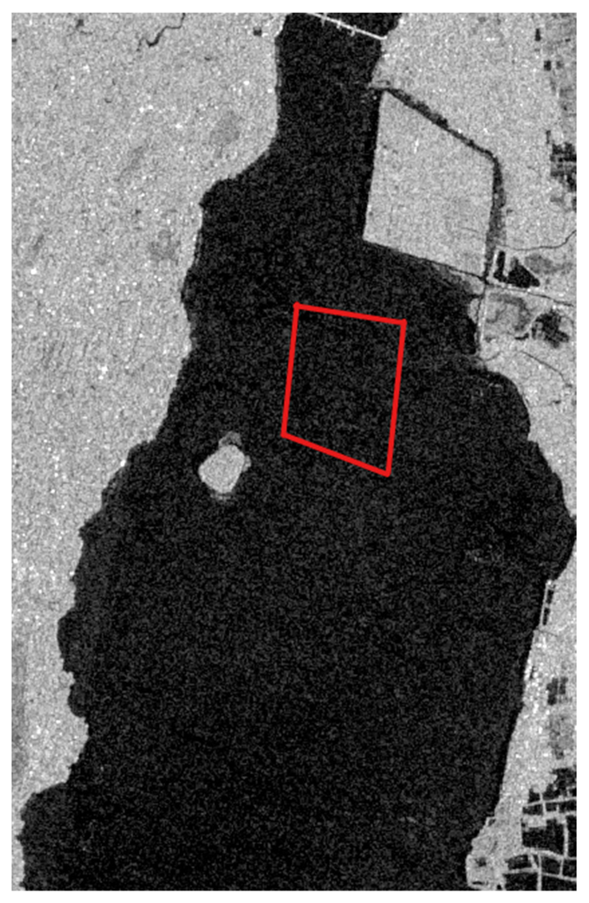 Remotesensing 14 02845 g009