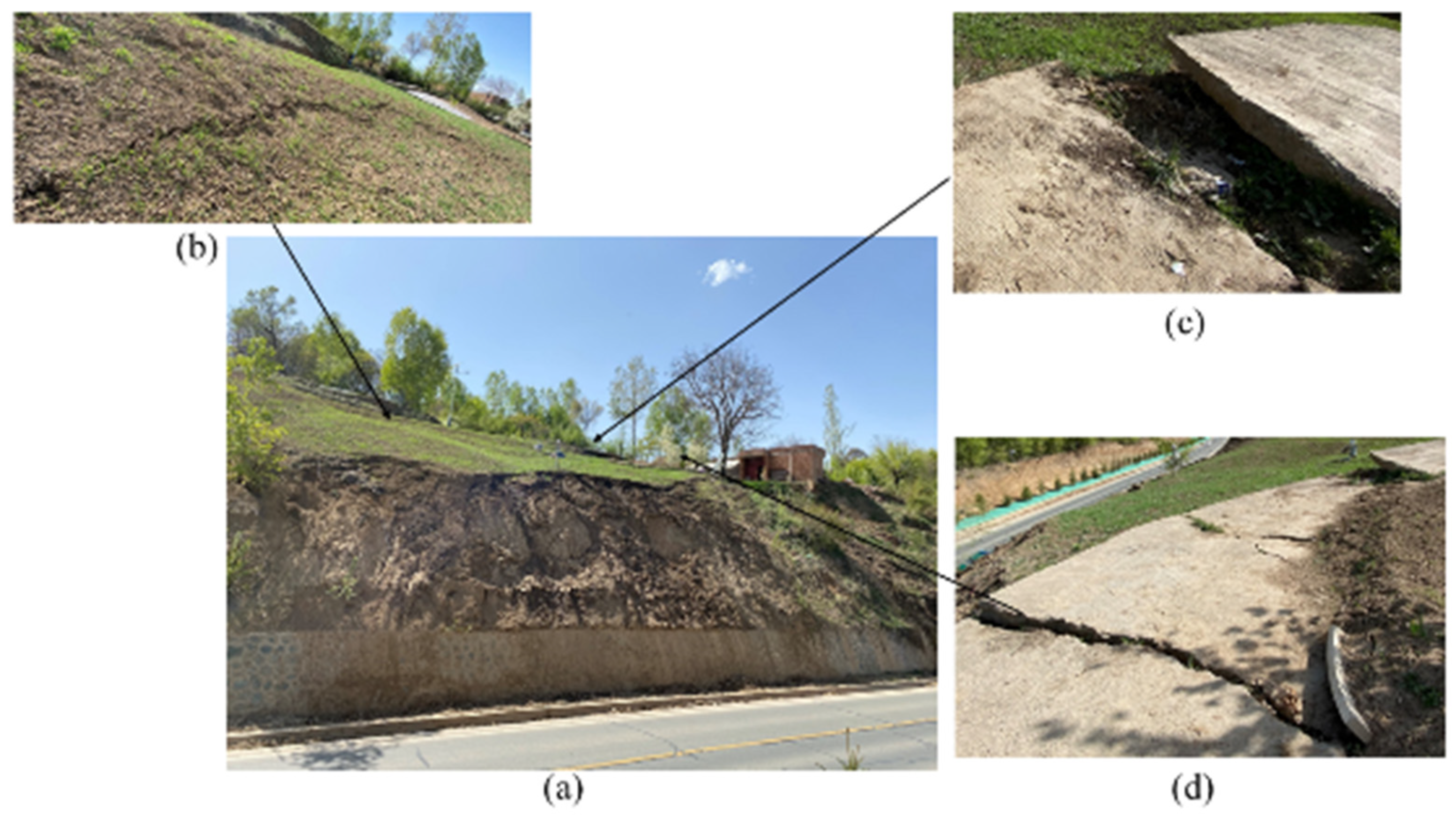 Remotesensing 14 02897 g007