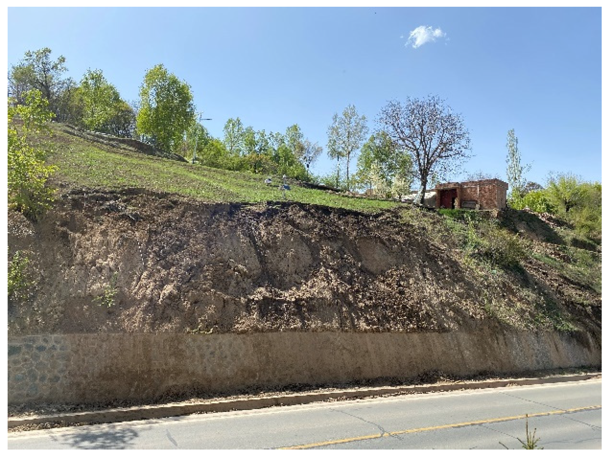 Remotesensing 14 02897 g021