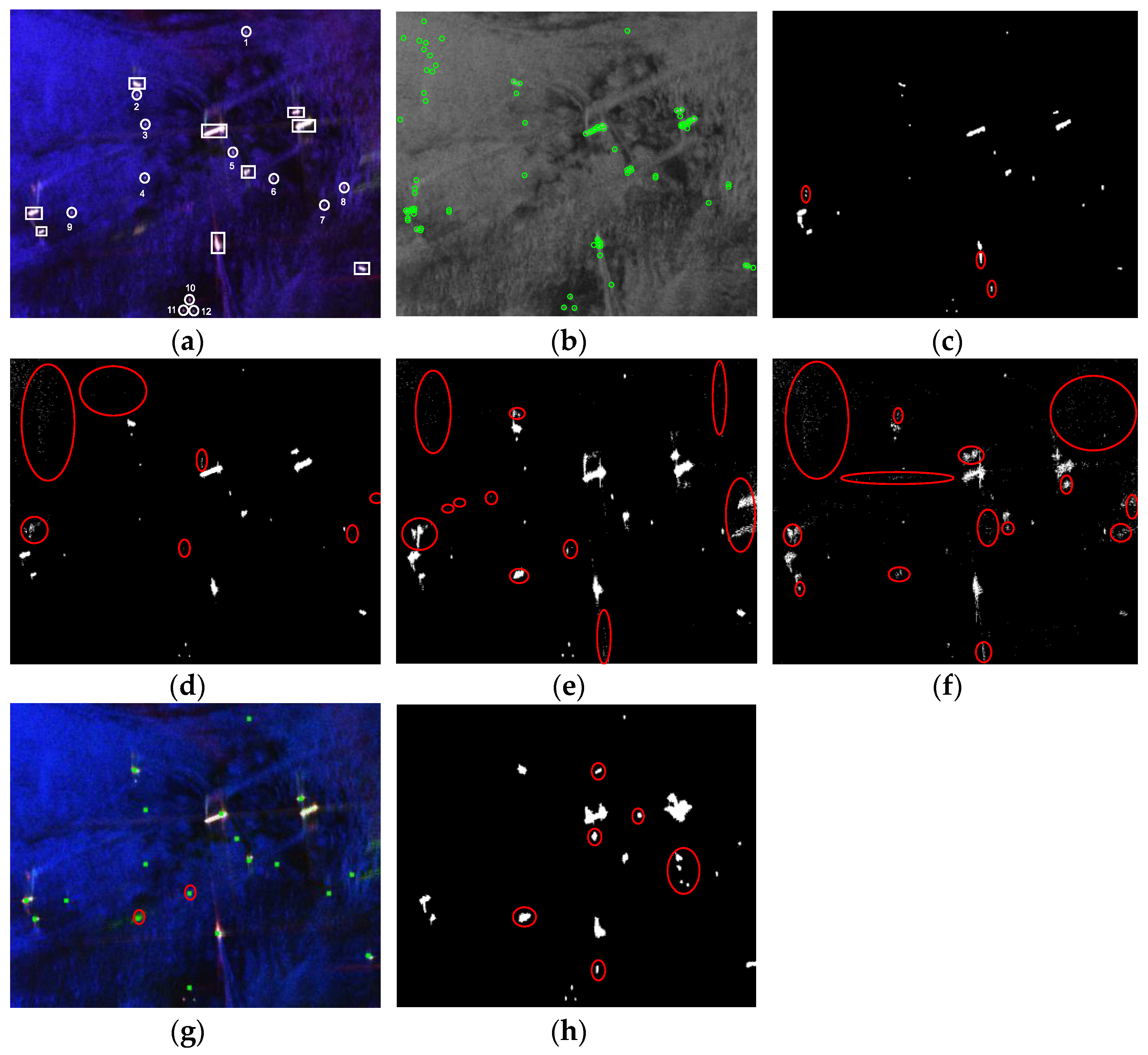 Remotesensing 14 02900 g013