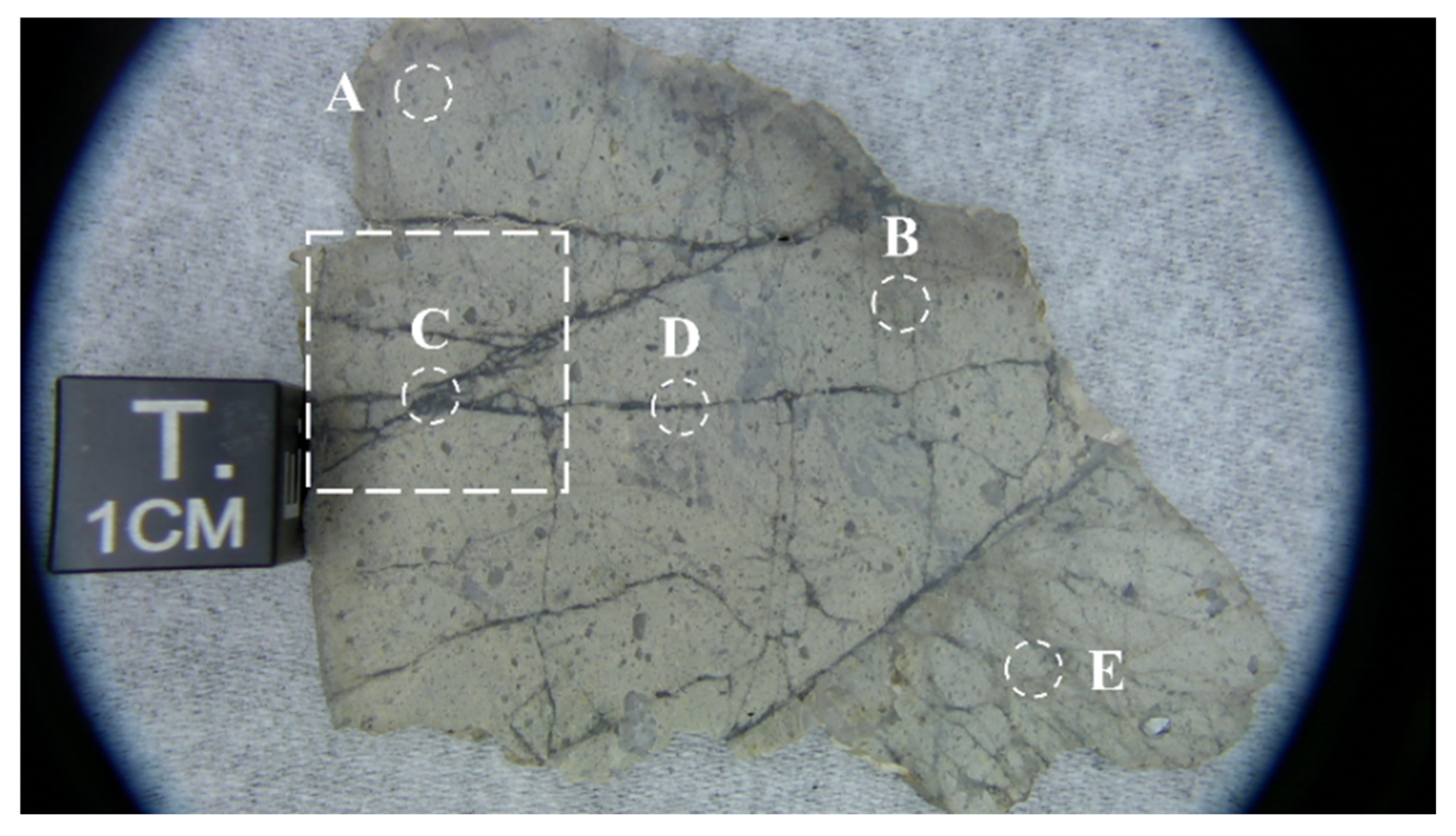 Remotesensing 14 02952 g001