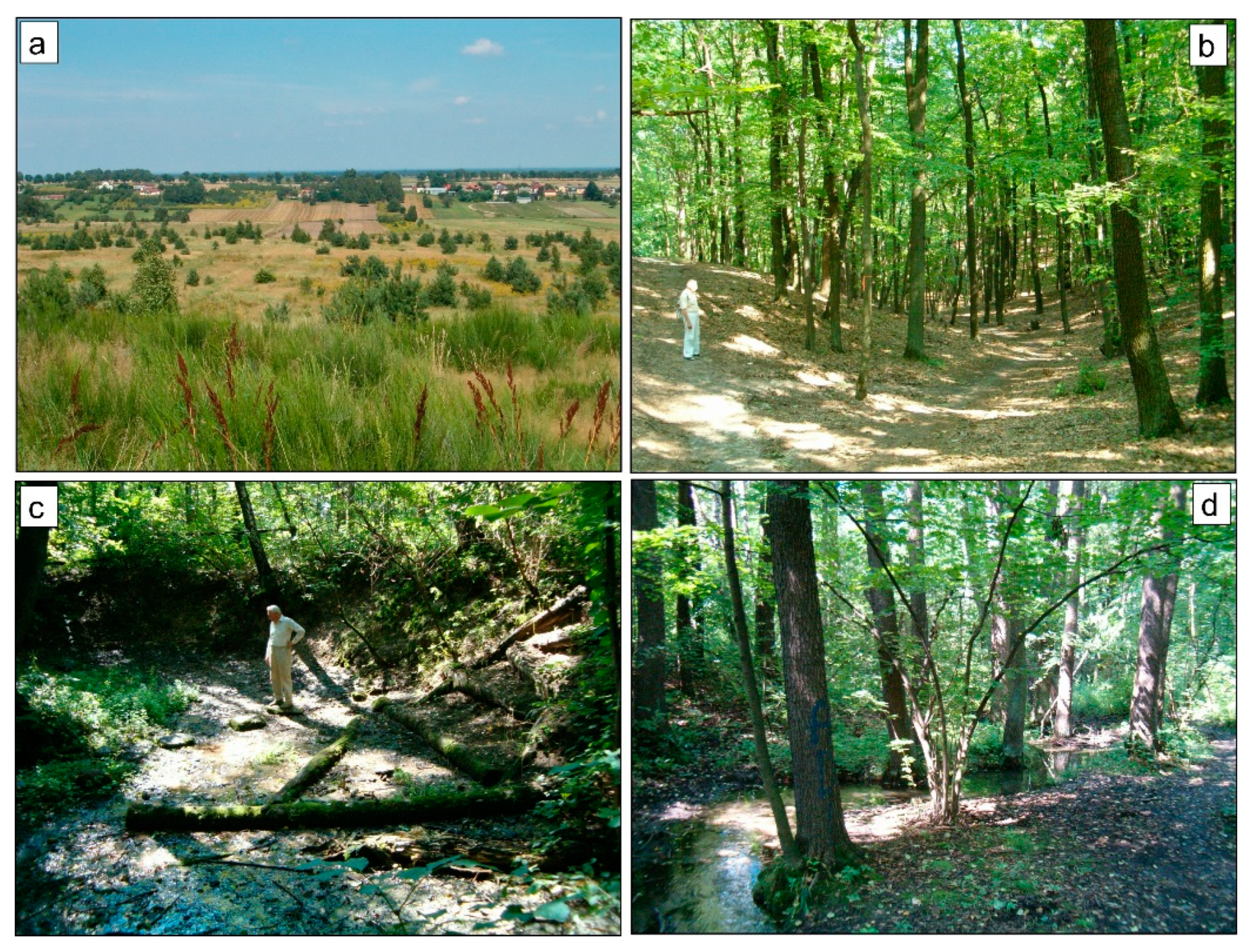 Remotesensing 14 02961 g003