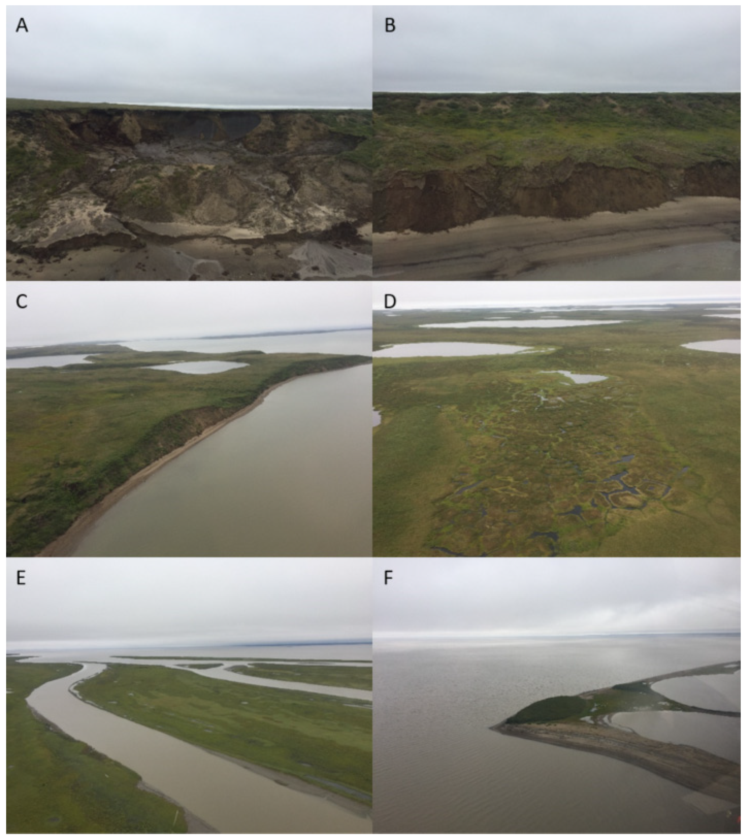 Remotesensing 14 02982 g006