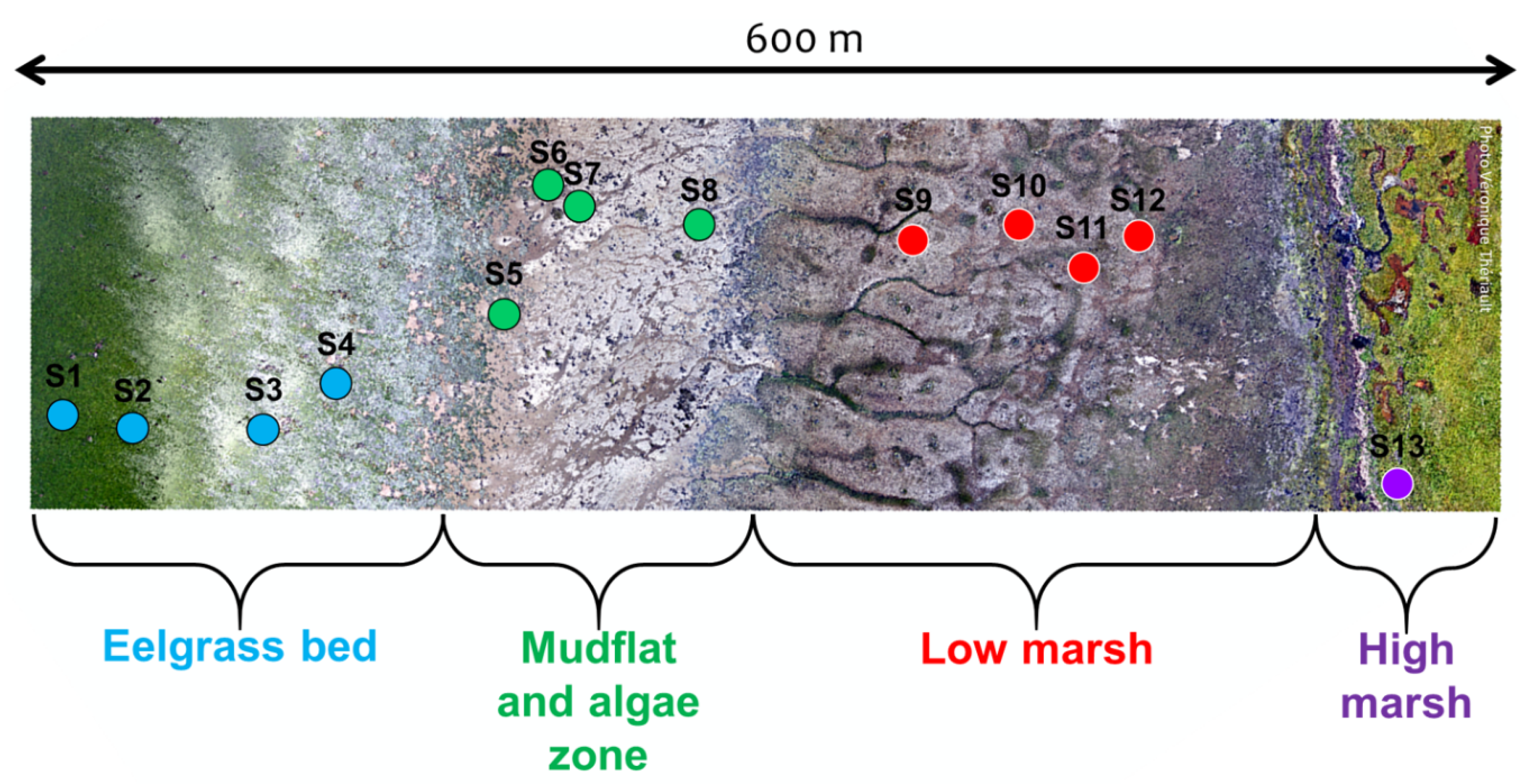 Remotesensing 14 03000 g002