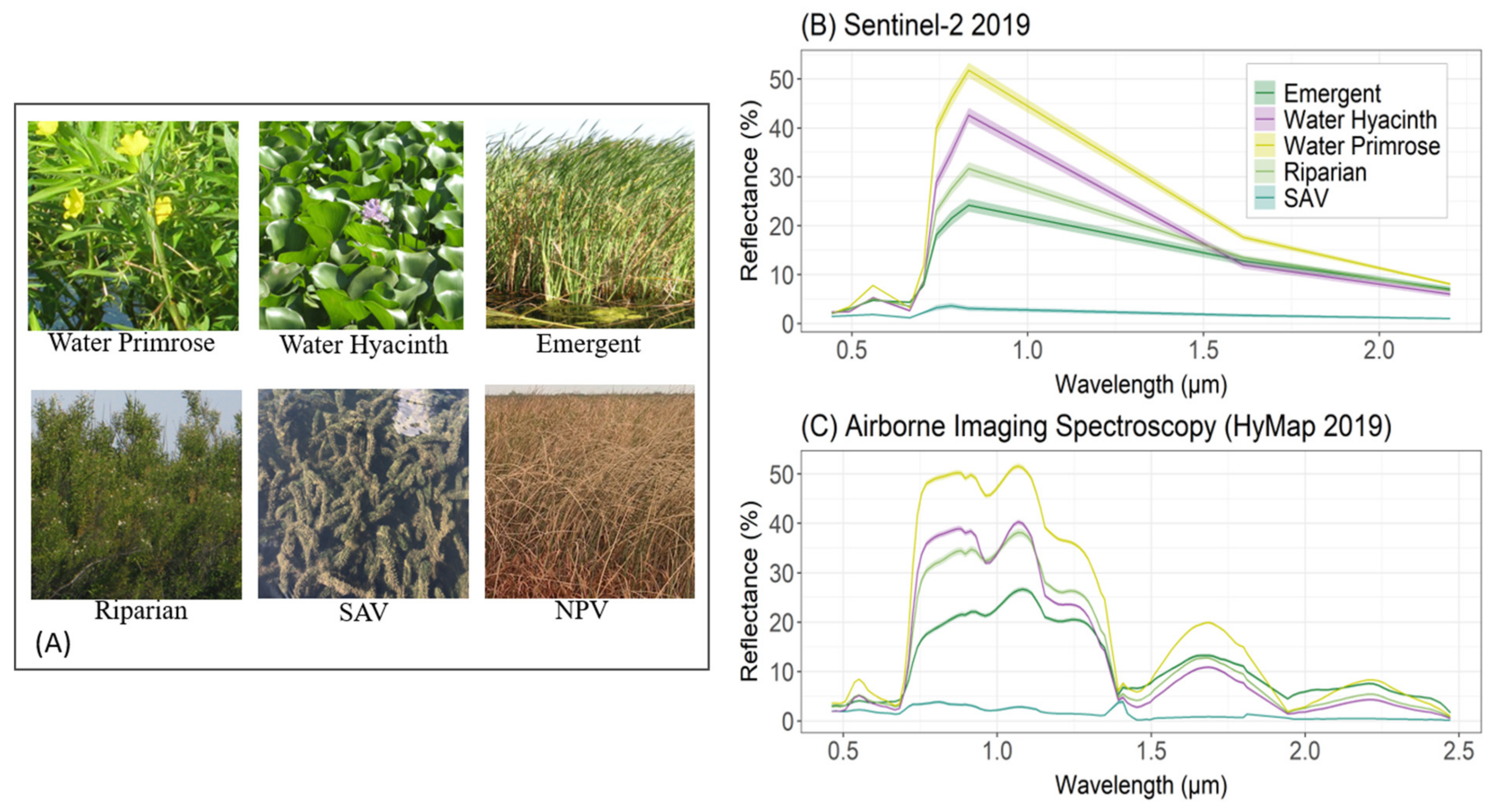 Remotesensing 14 03013 g001
