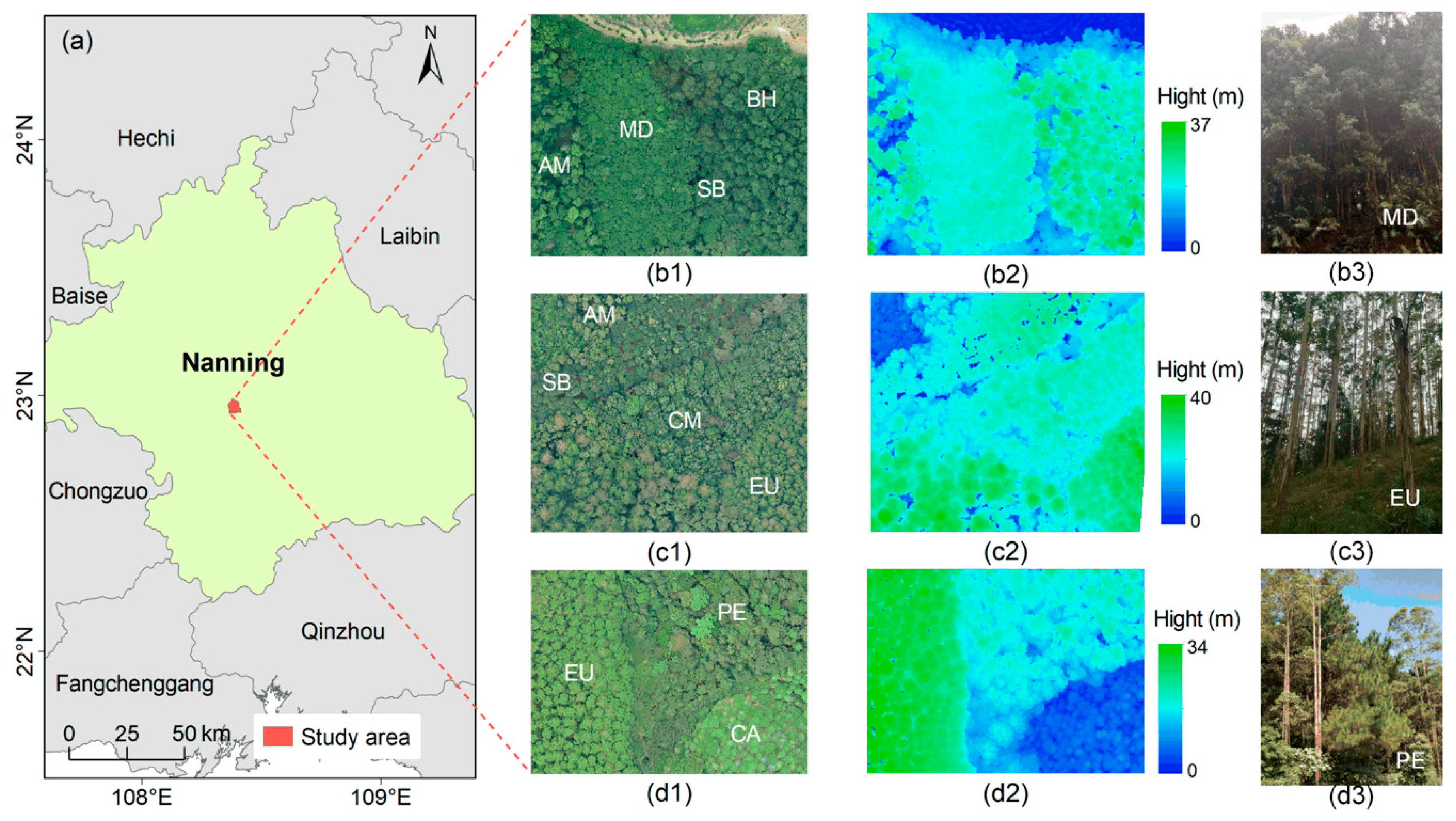 Remotesensing 14 03035 g001