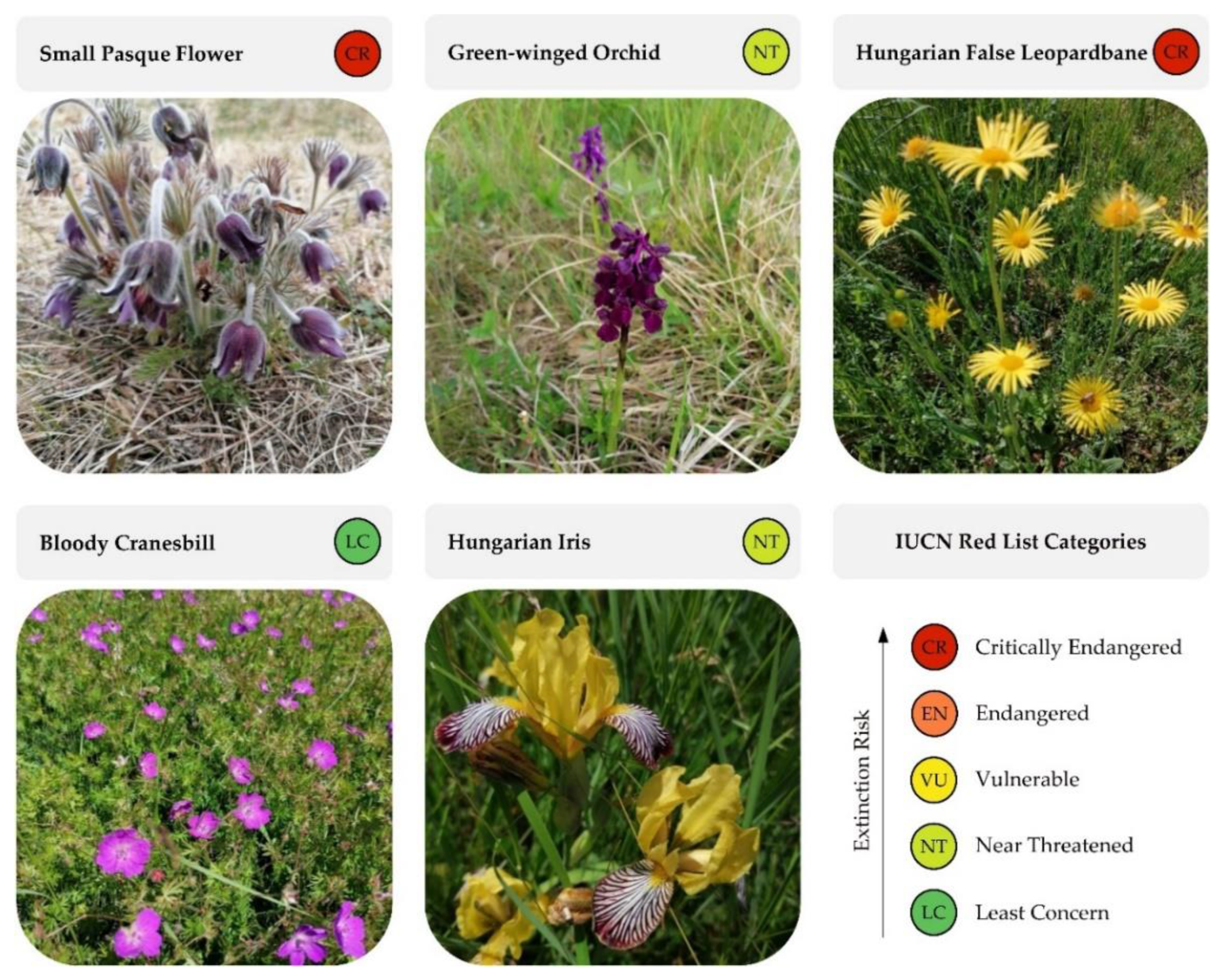 Remotesensing 14 03054 g003 Remotesensing 14 03054 g003