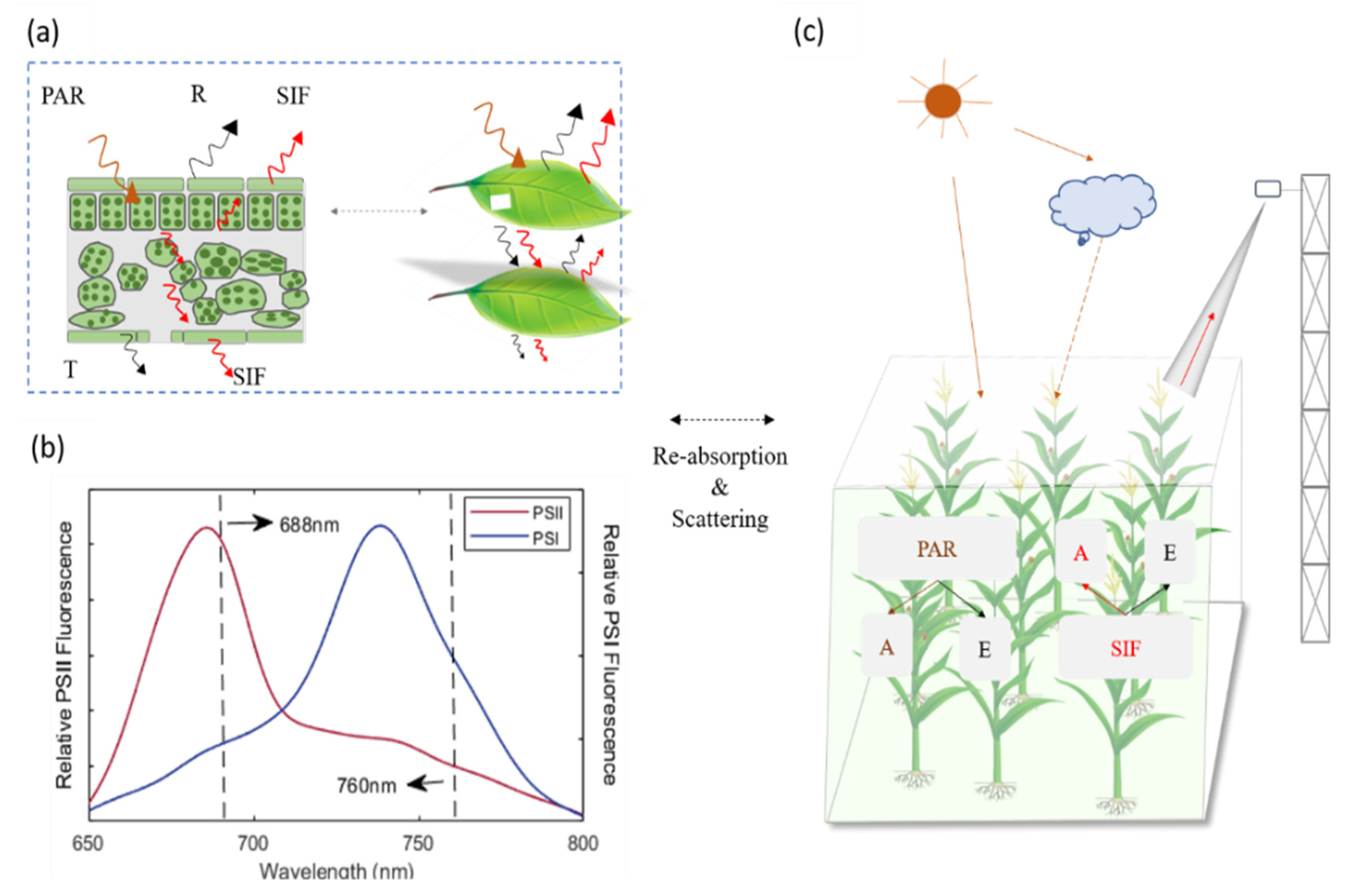 Remotesensing 14 03076 g001
