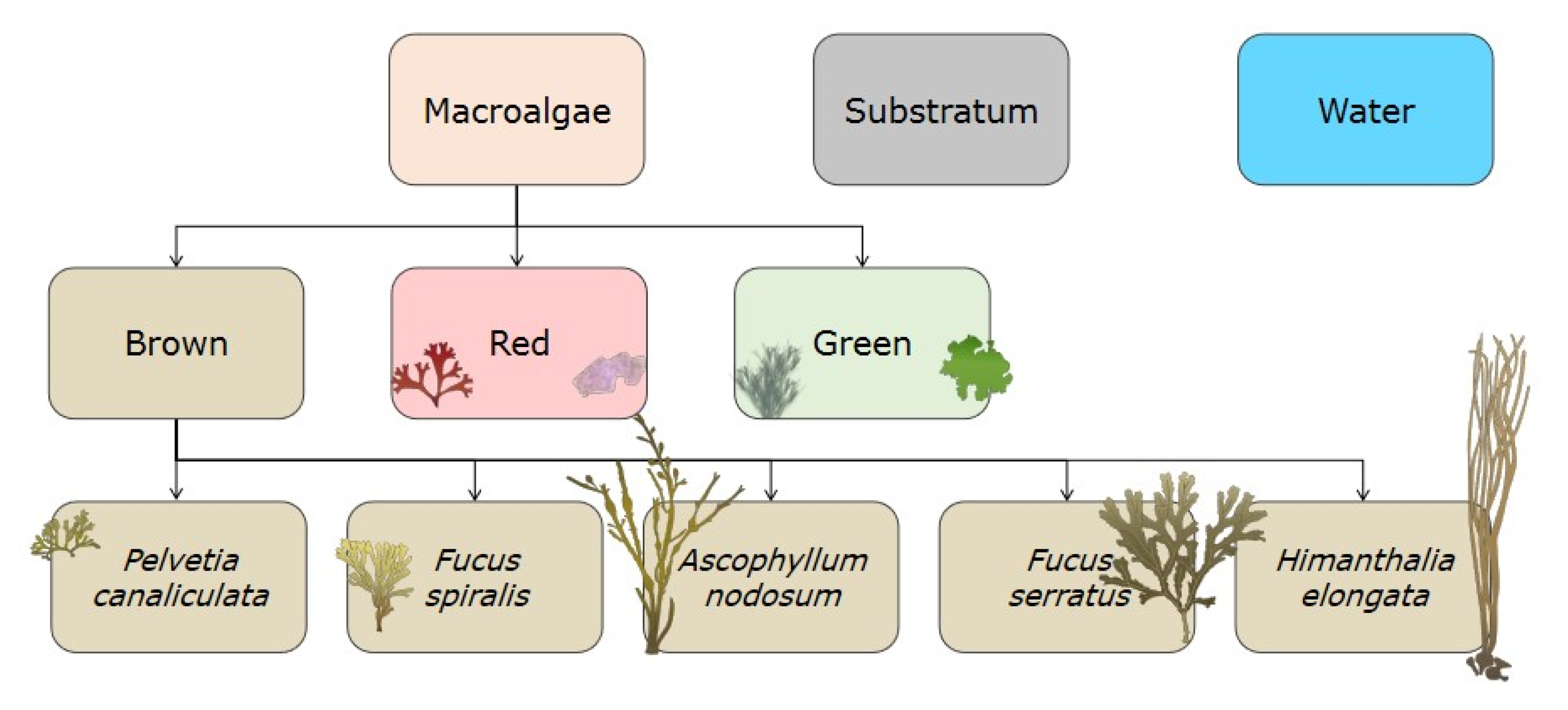 Remotesensing 14 03124 g004