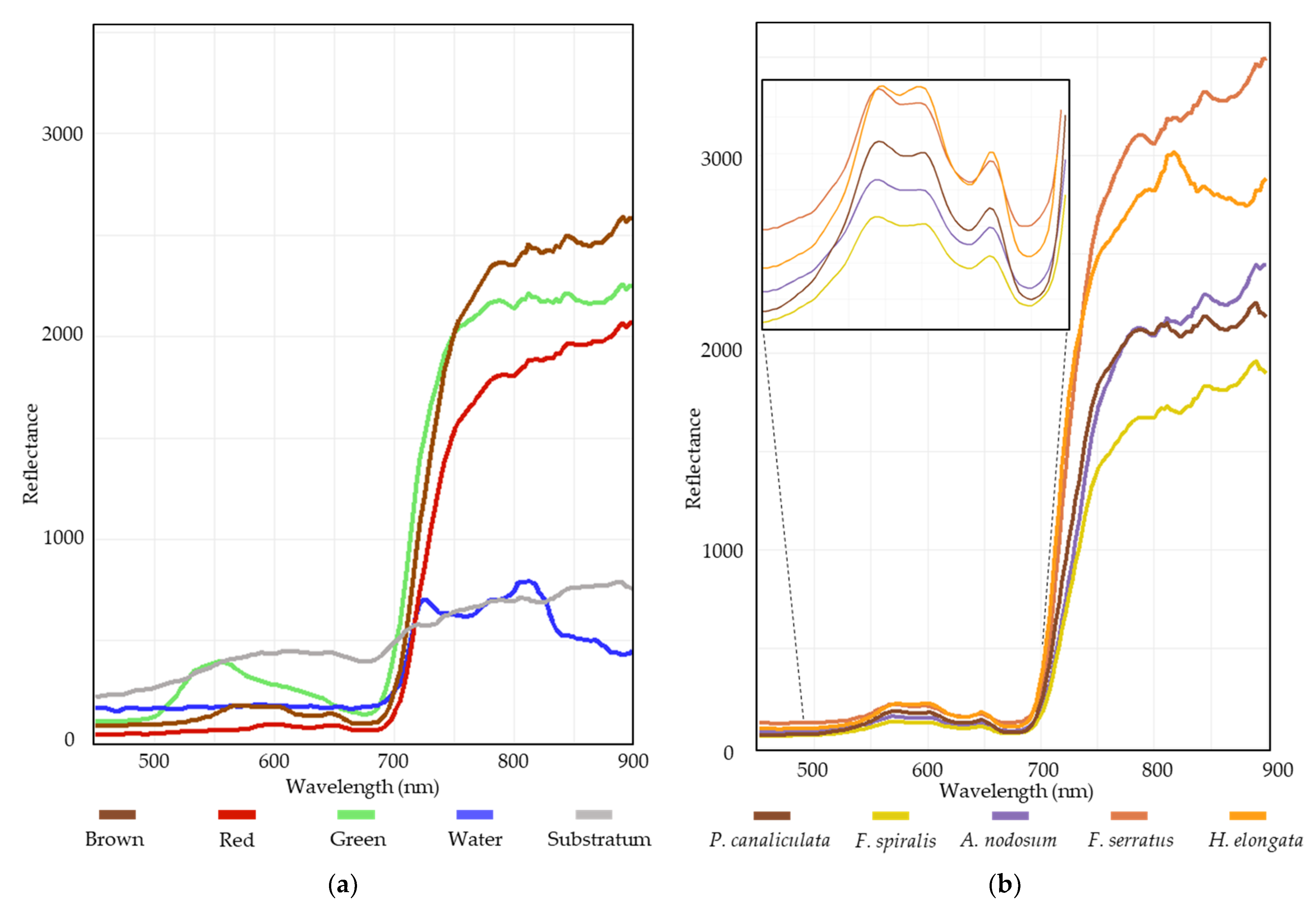 Remotesensing 14 03124 g006