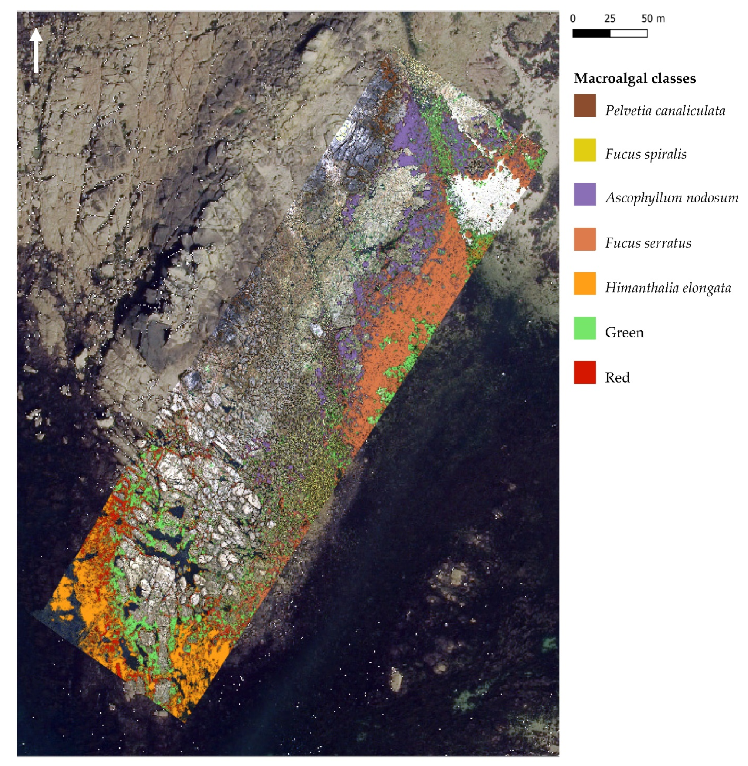 Remotesensing 14 03124 g007