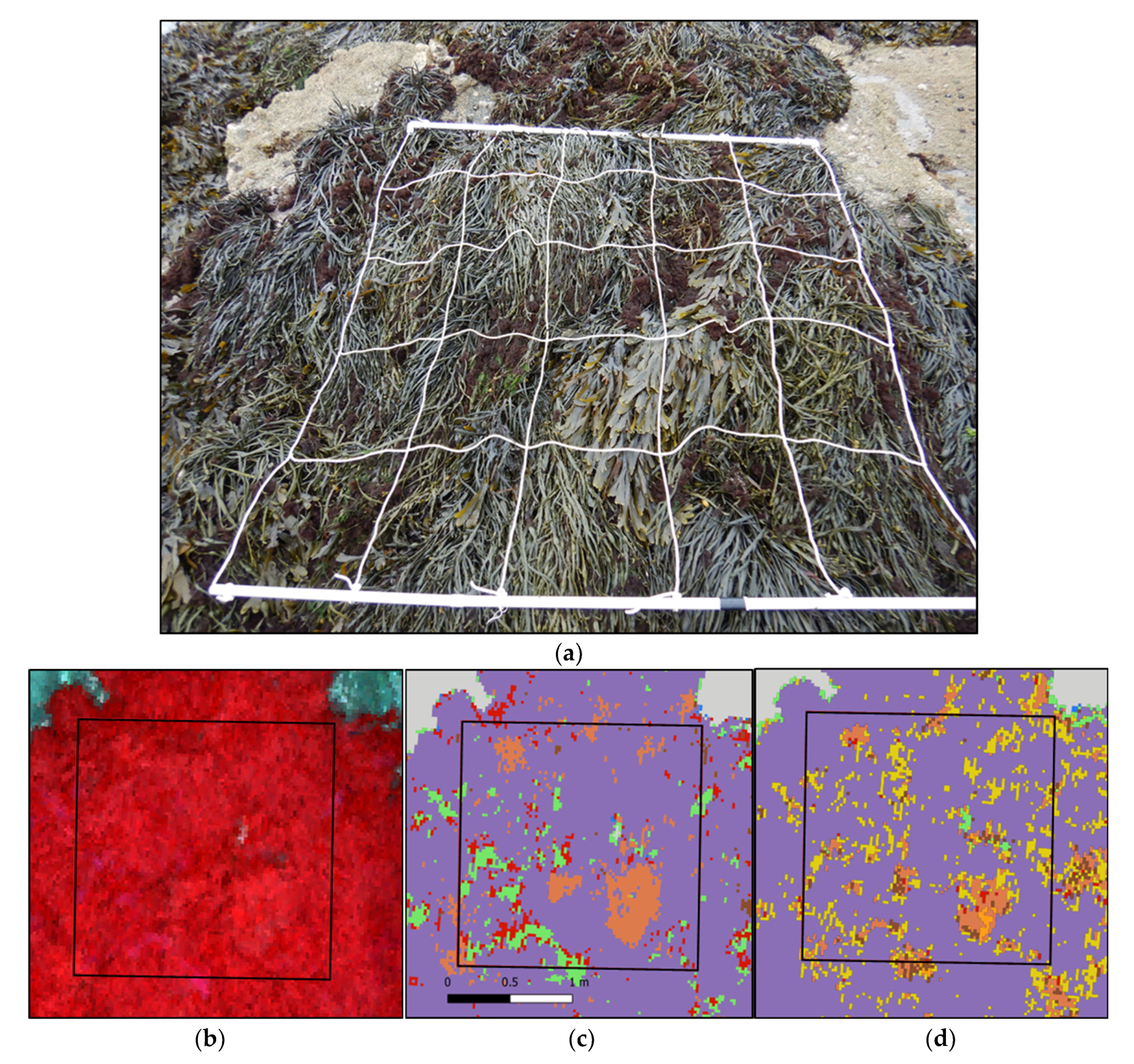 Remotesensing 14 03124 g0a1