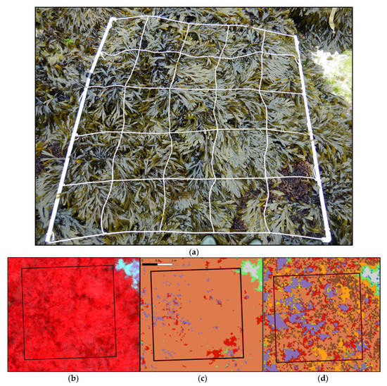 Remotesensing 14 03124 g0a2 550