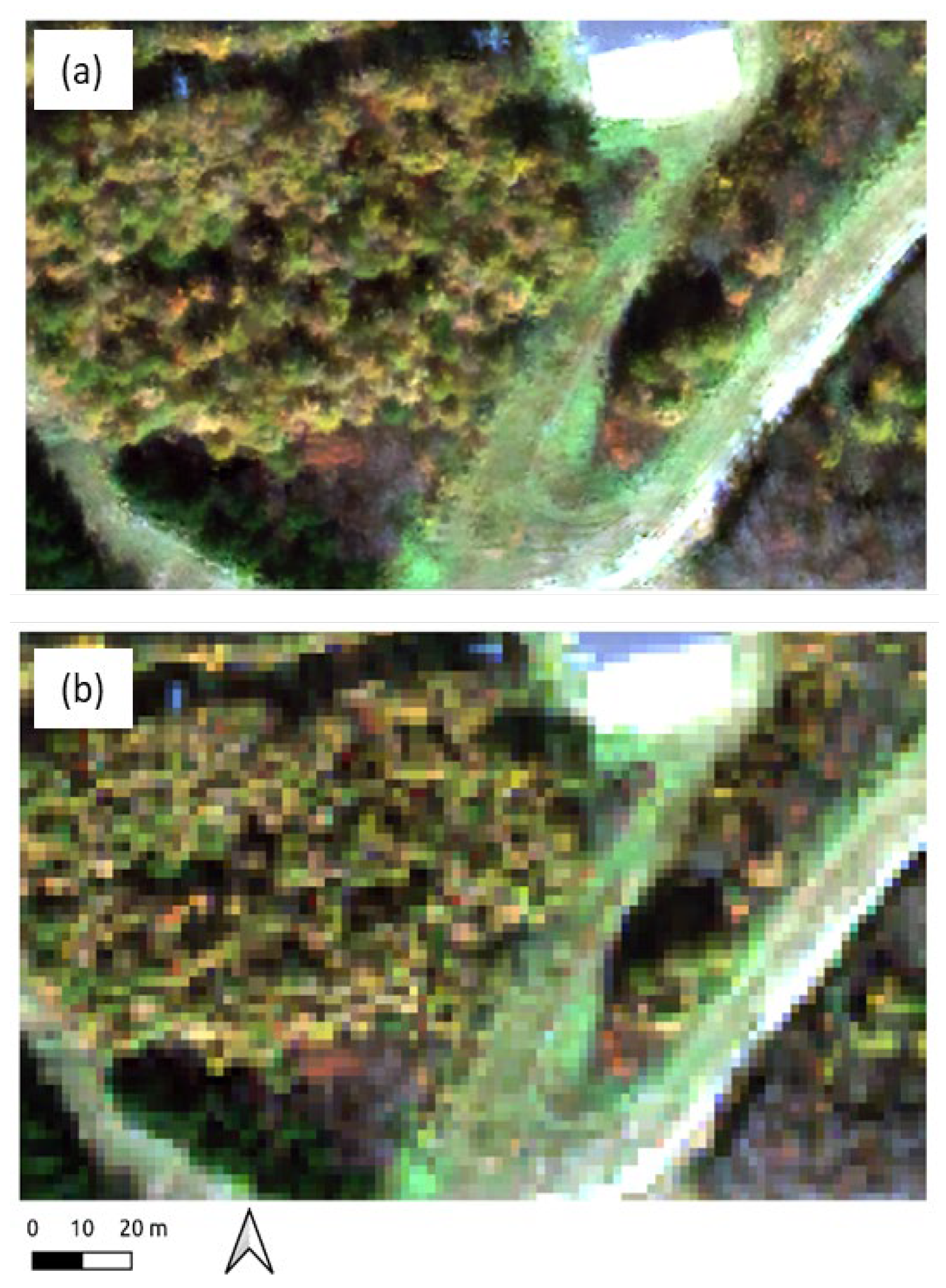 Remotesensing 14 03145 g006