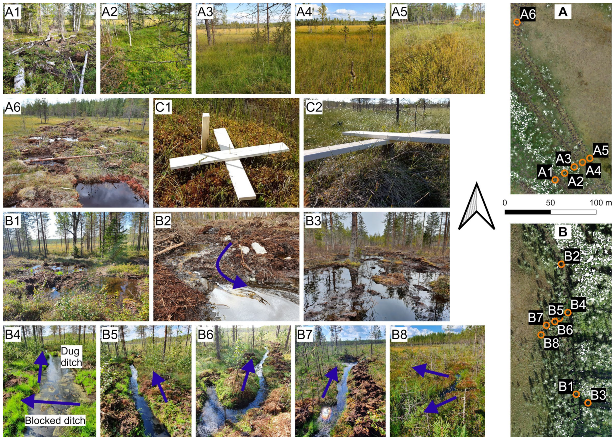 Remotesensing 14 03169 g009