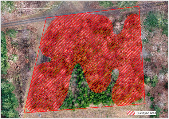 Remotesensing 14 03170 g0a1 550