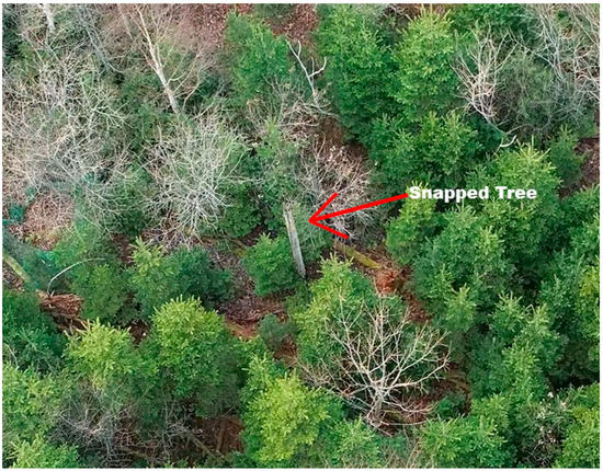 Remotesensing 14 03170 g0a3 550