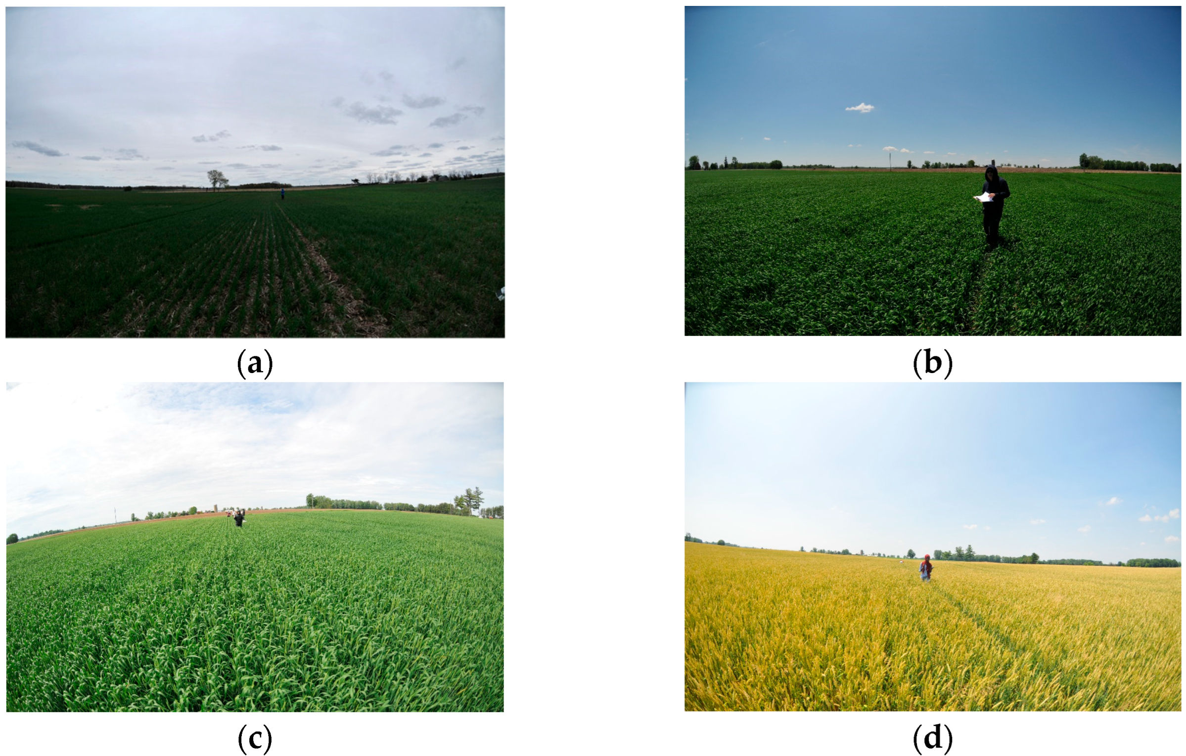 Remotesensing 14 03210 g002