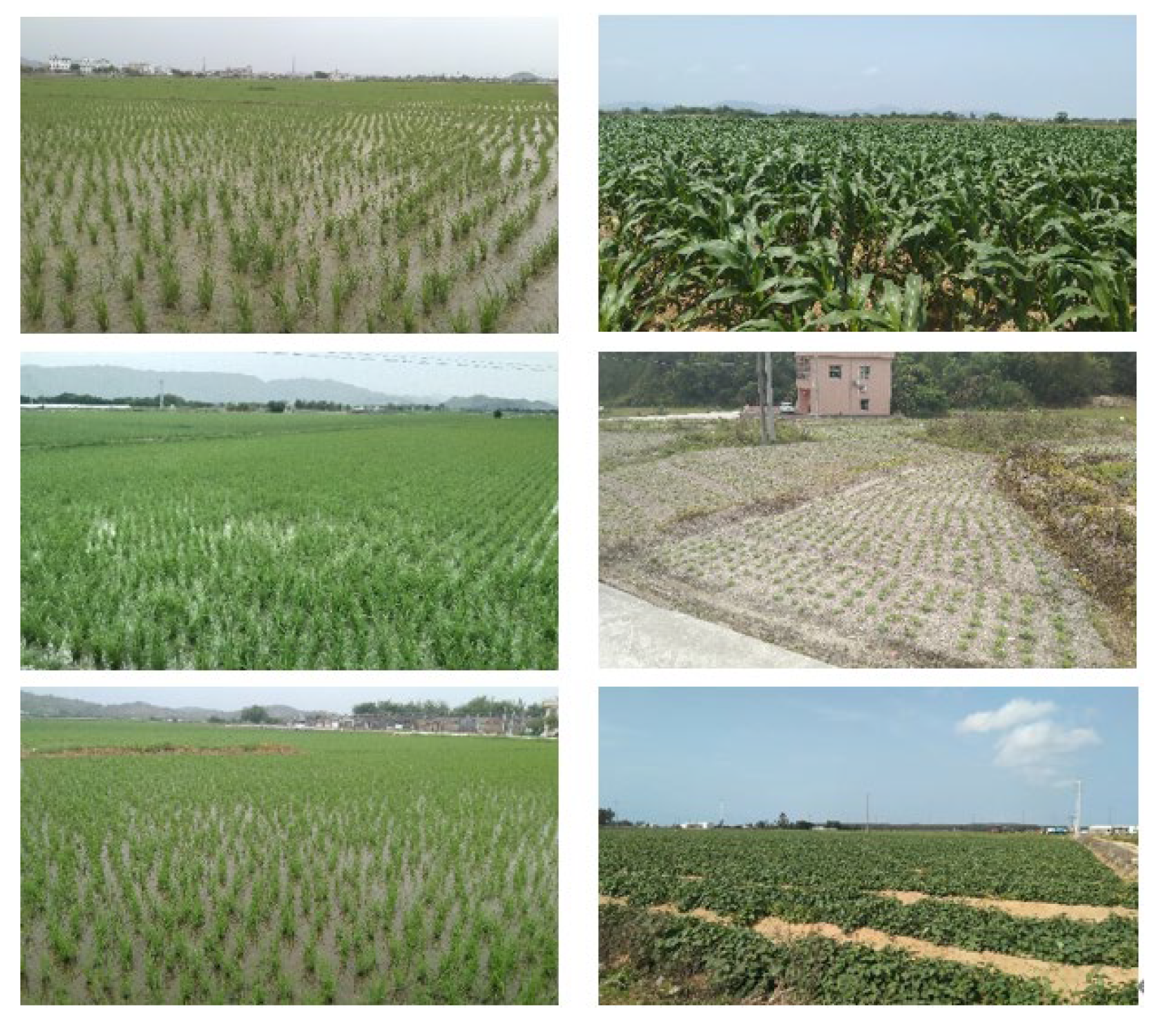 Remotesensing 14 03213 g002