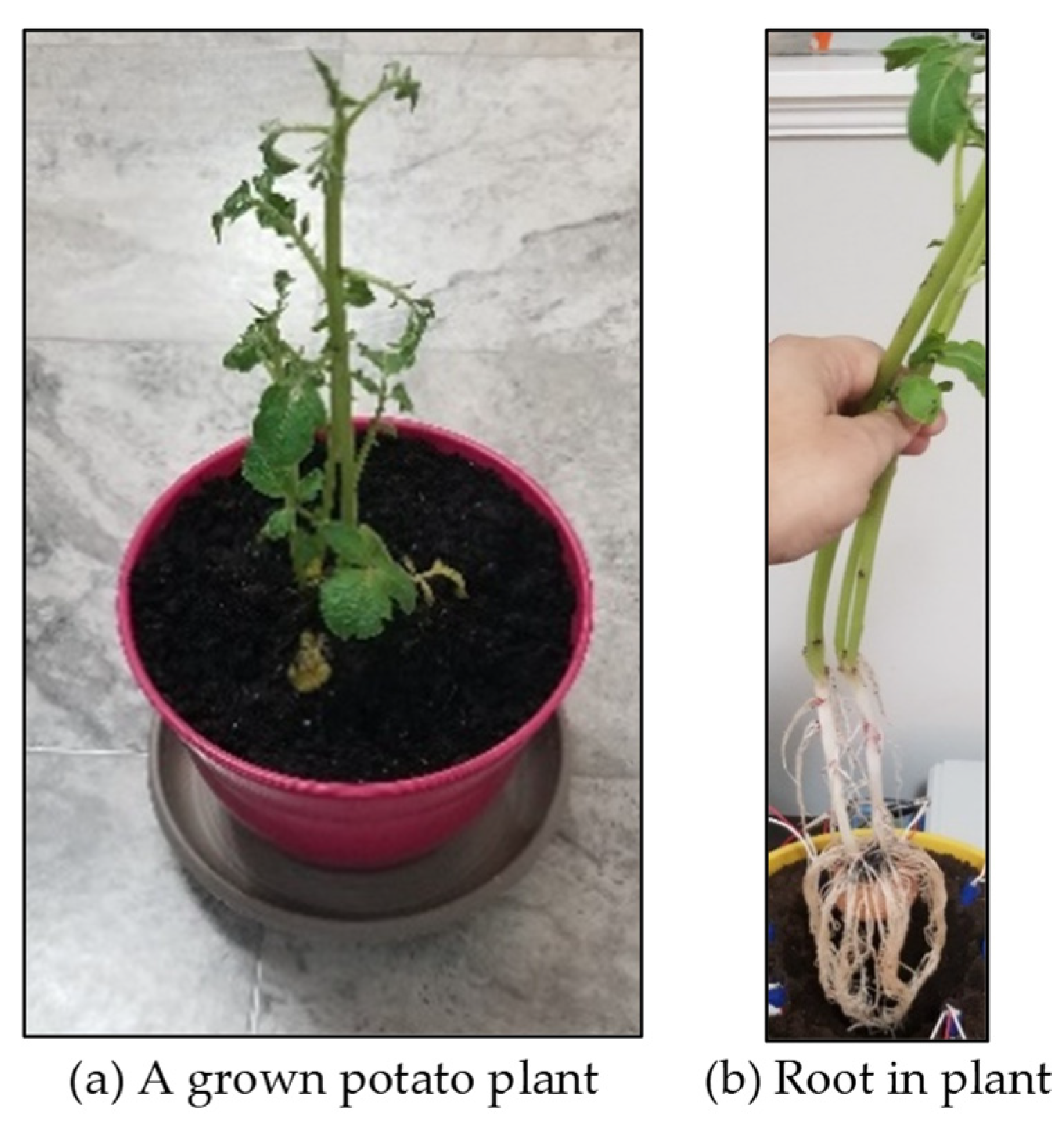 Remotesensing 14 03214 g018