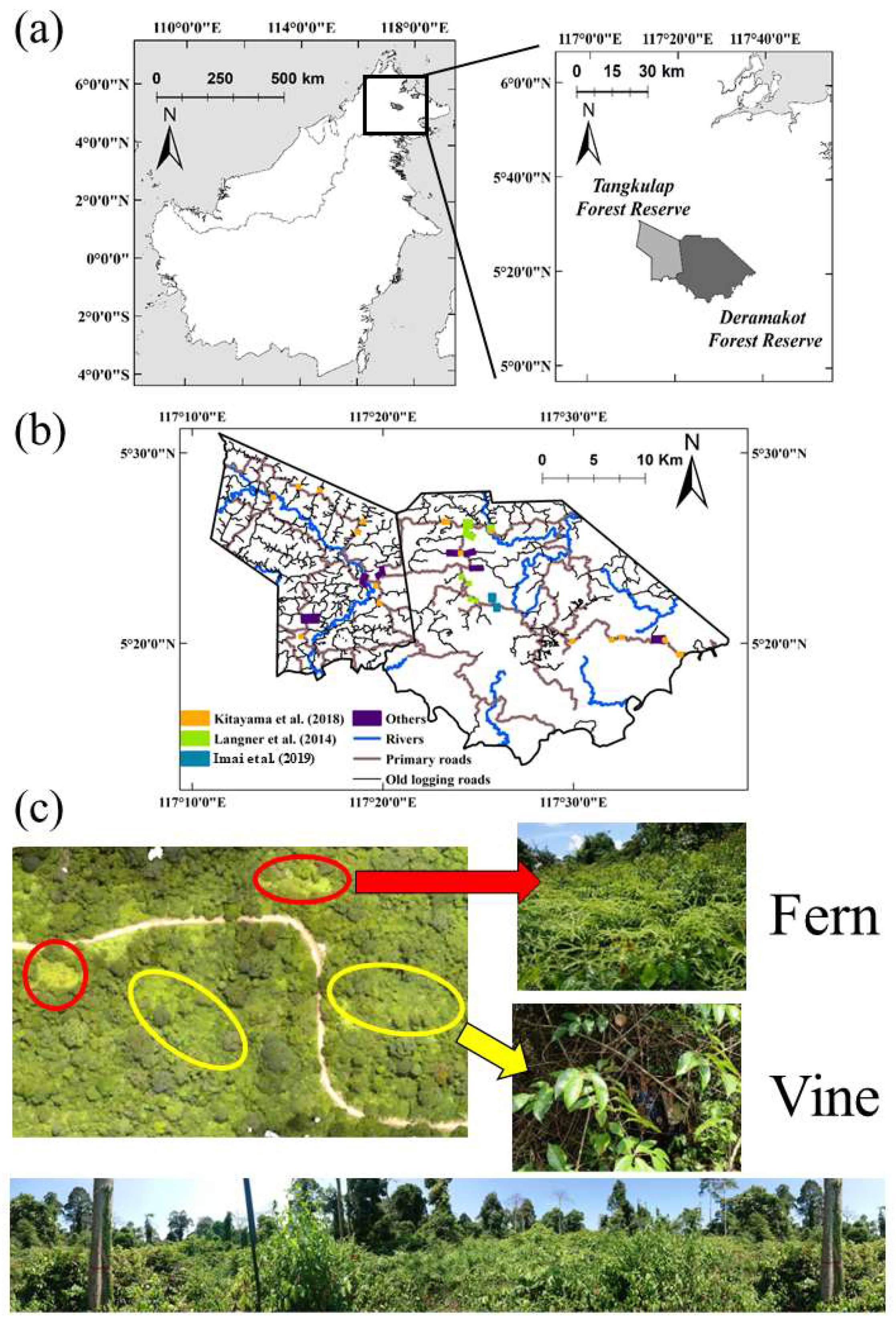 Remotesensing 14 03354 g001 Remotesensing 14 03354 g001