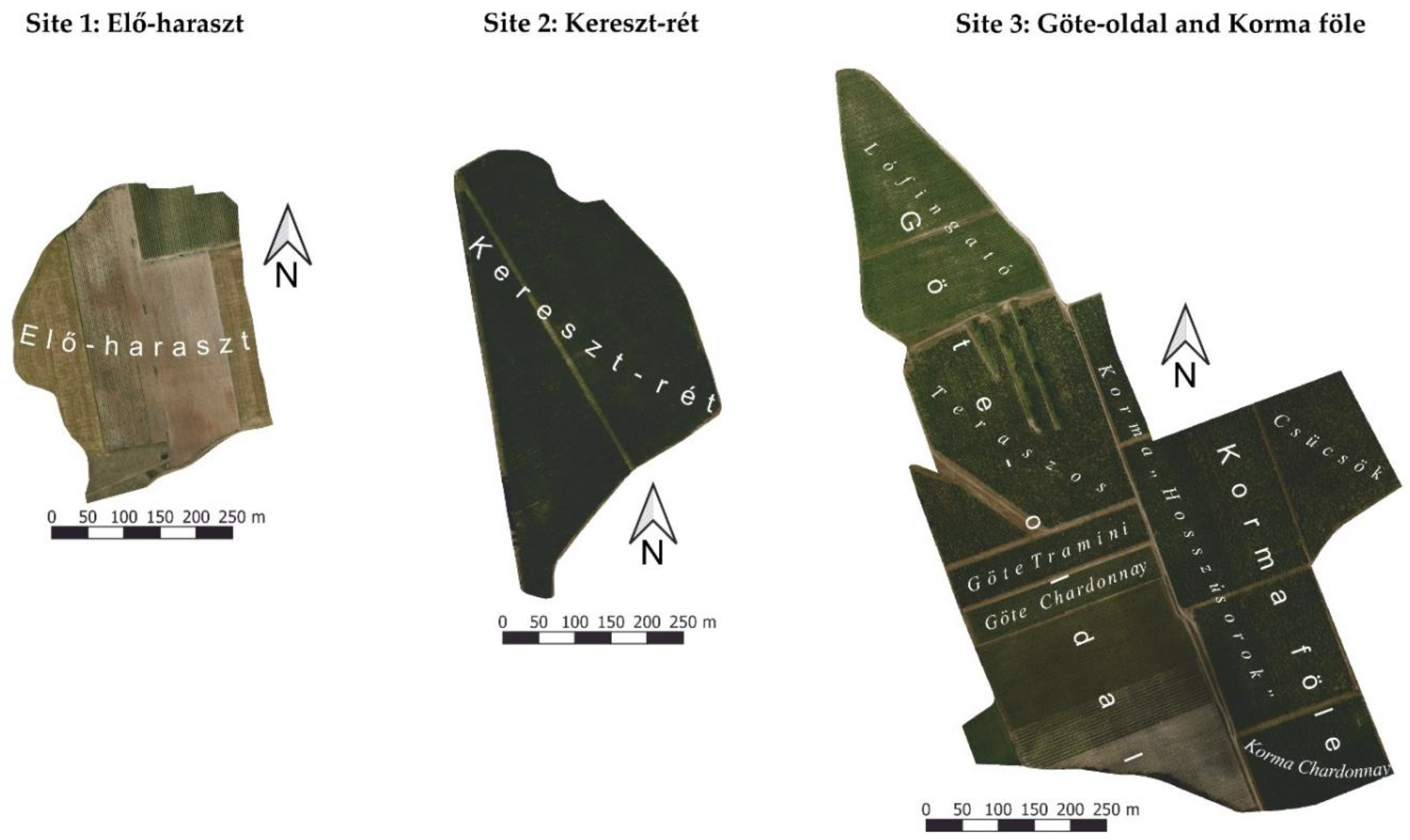 Remotesensing 14 03463 g002