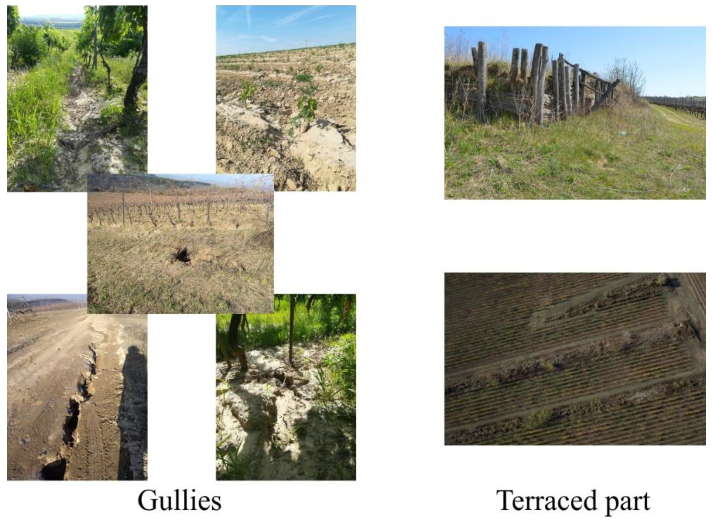 Remotesensing 14 03463 g003