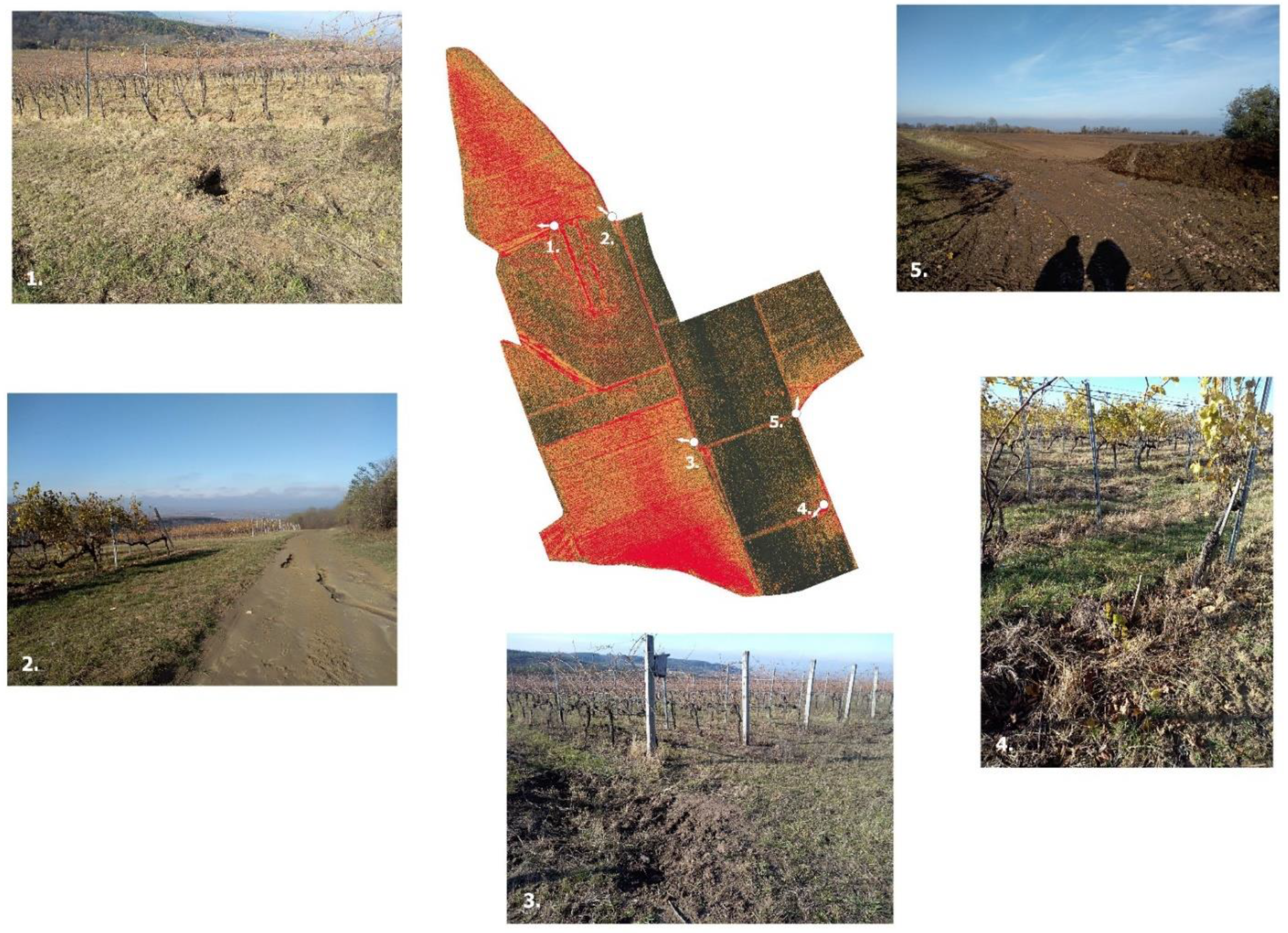 Remotesensing 14 03463 g010