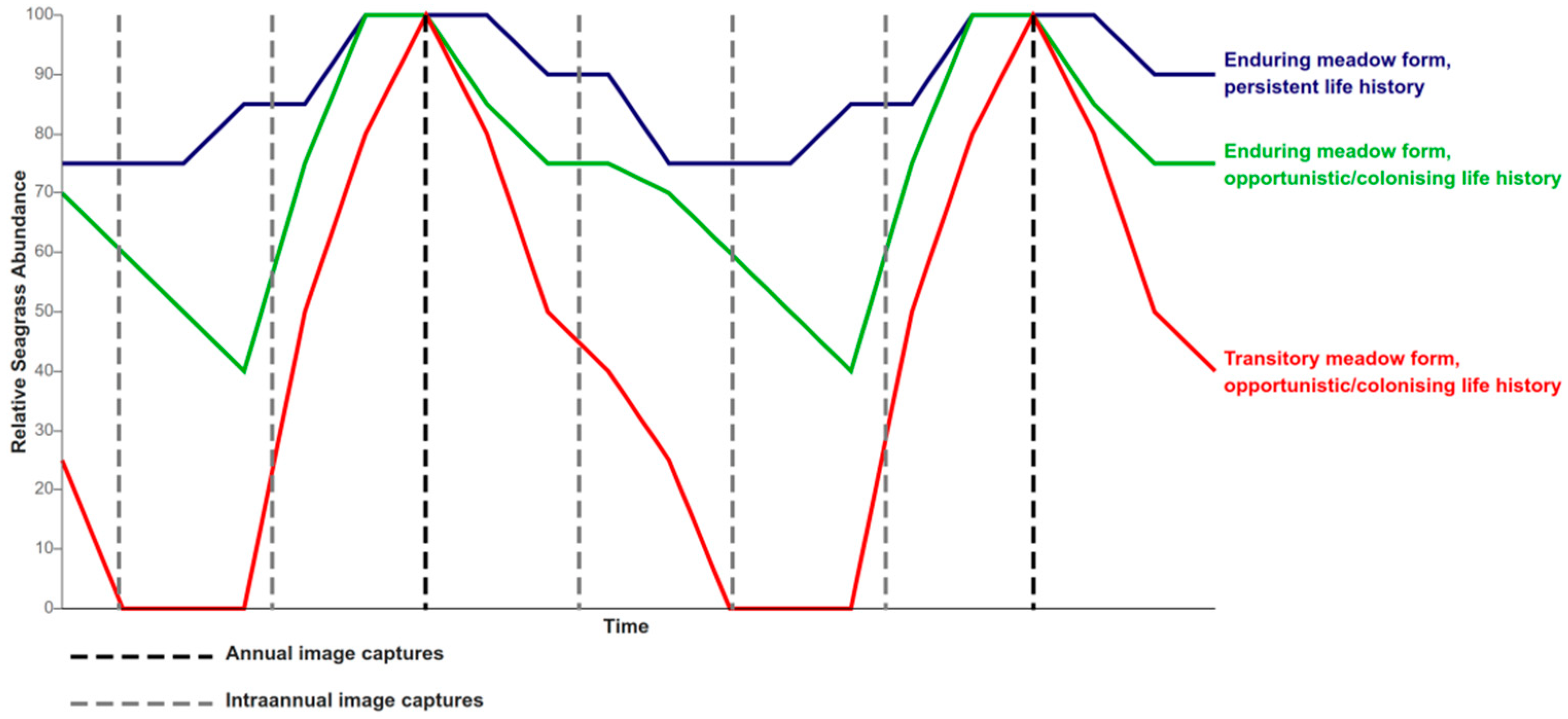 Remotesensing 14 03572 g003