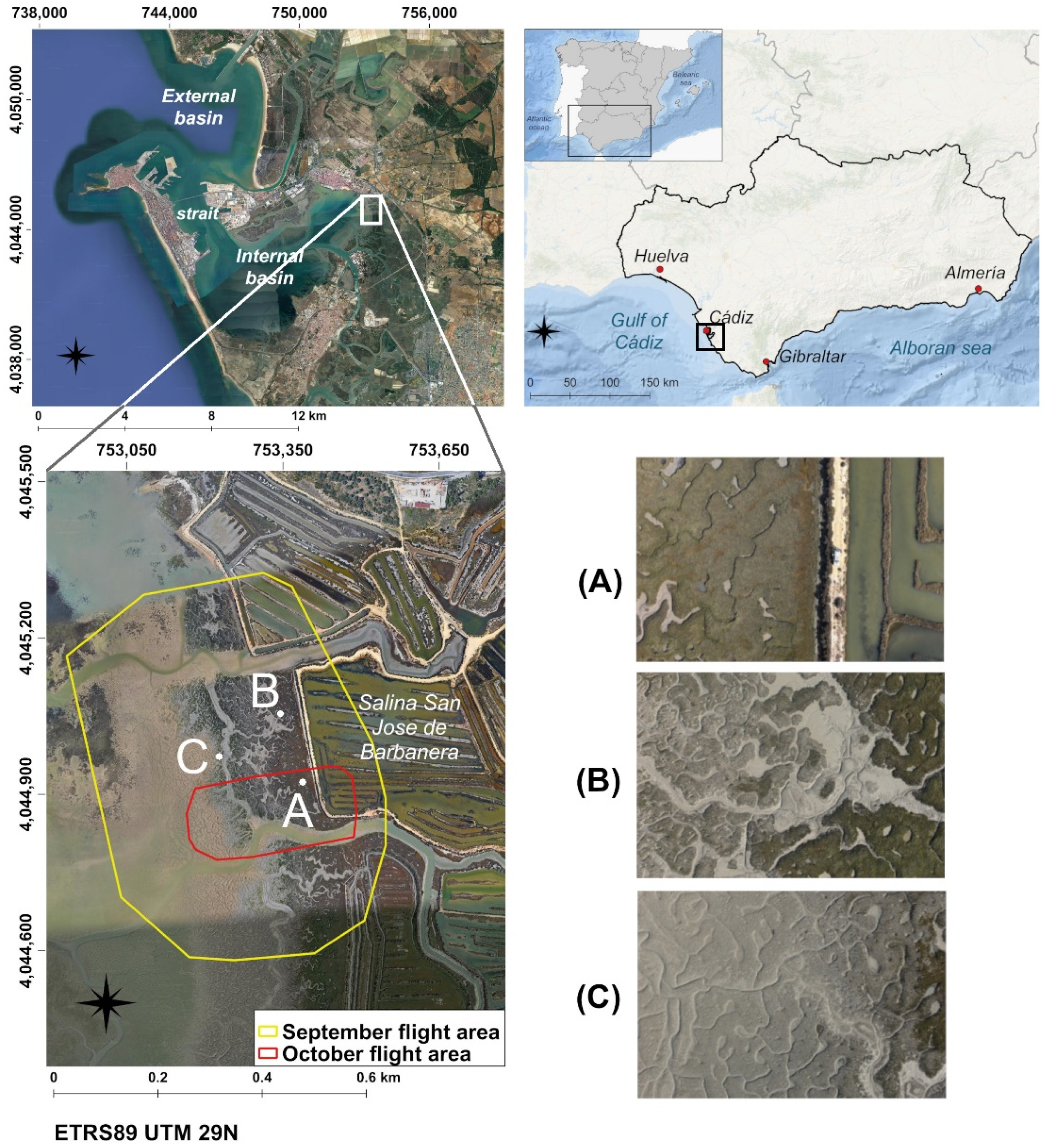 Remotesensing 14 03582 g001