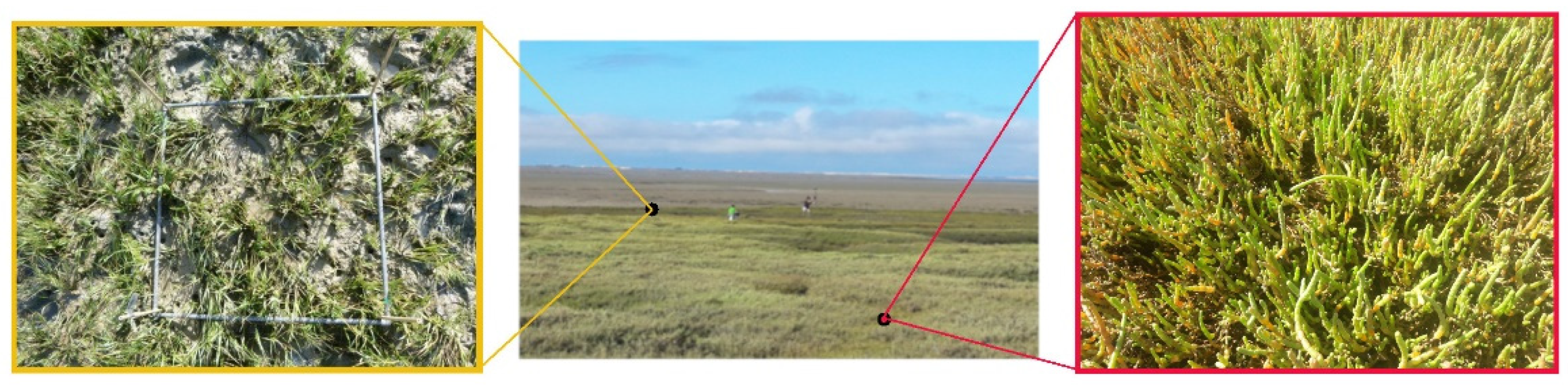 Remotesensing 14 03582 g002