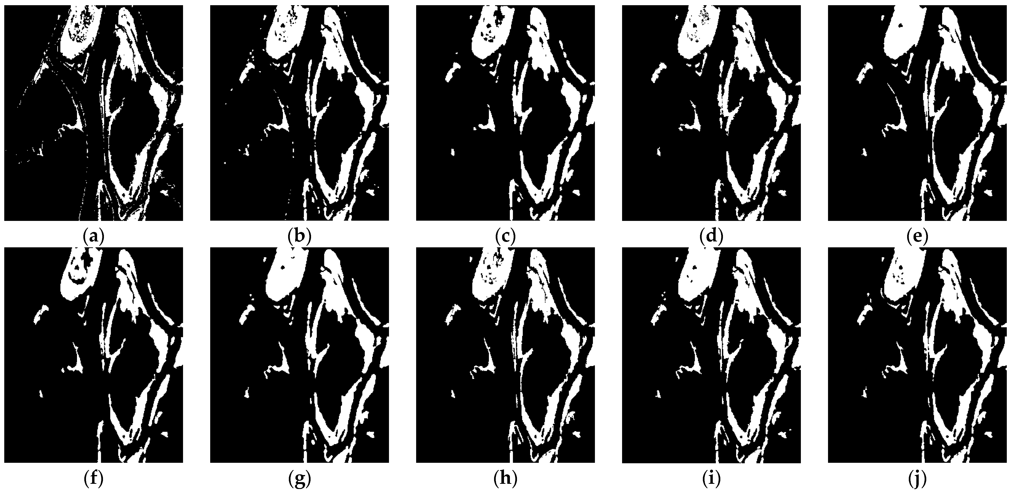 Remotesensing 14 03604 g010