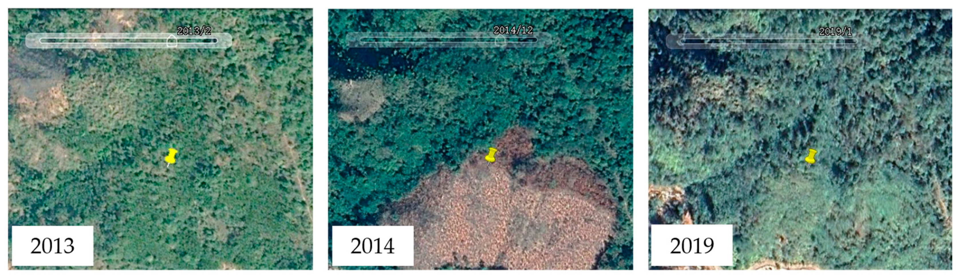 Remotesensing 14 03638 g003