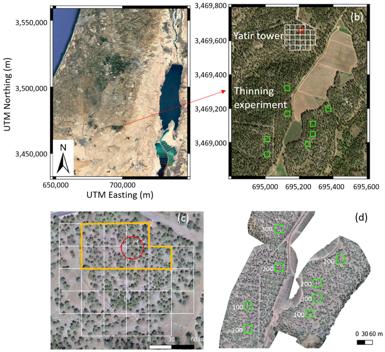 Remotesensing 14 03681 g001