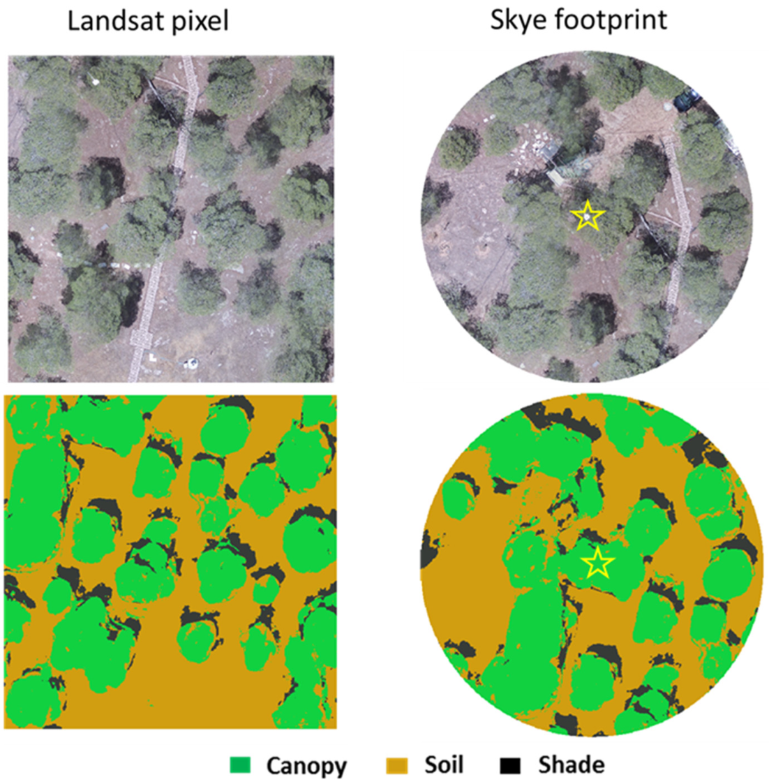 Remotesensing 14 03681 g003