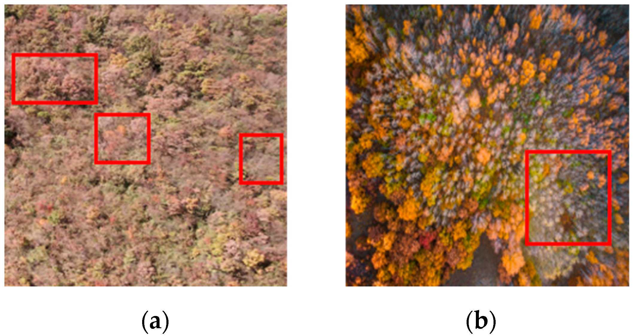 Remotesensing 14 03684 g010