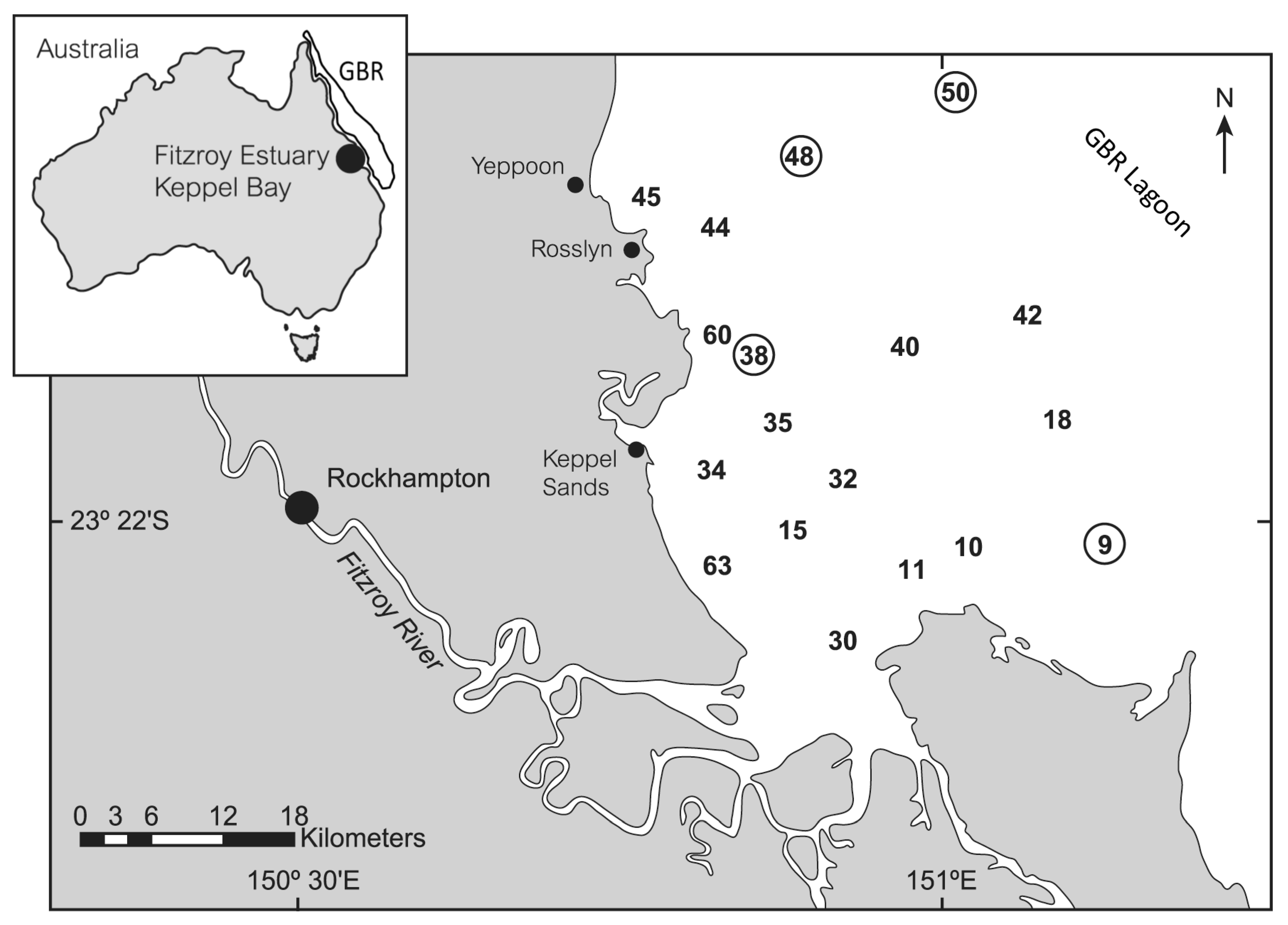 Remotesensing 14 03686 g001