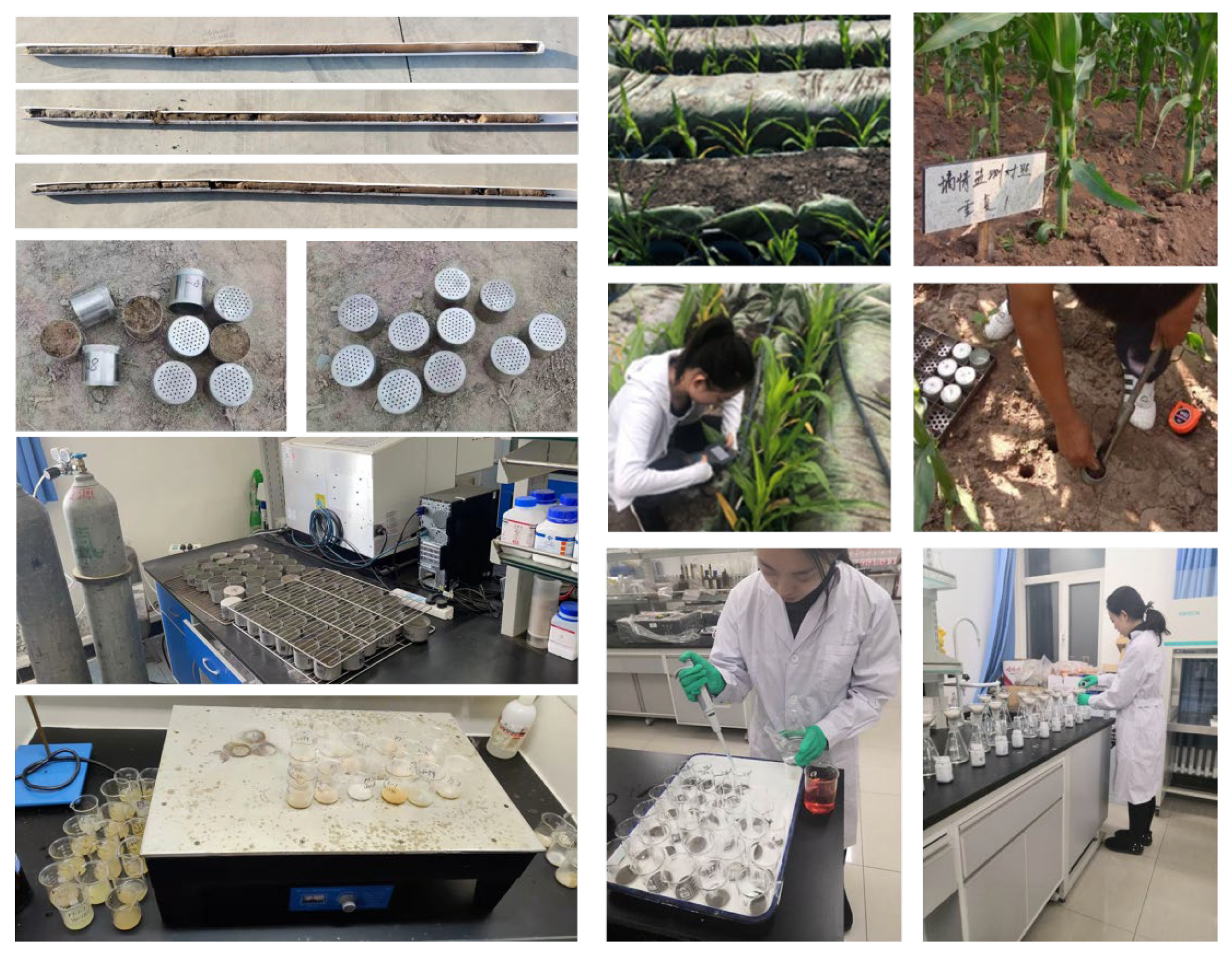 Remotesensing 14 03711 g003