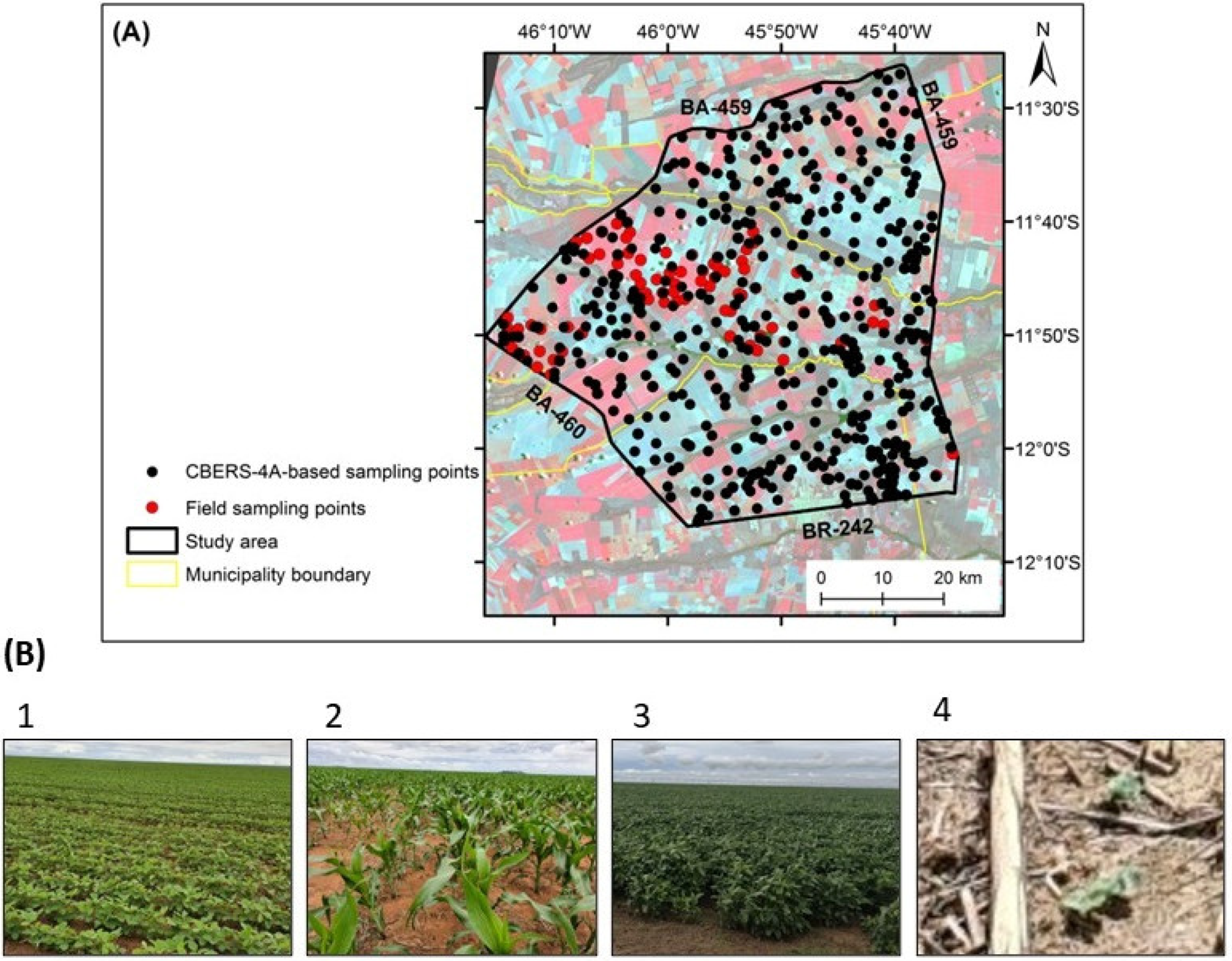 Remotesensing 14 03736 g004