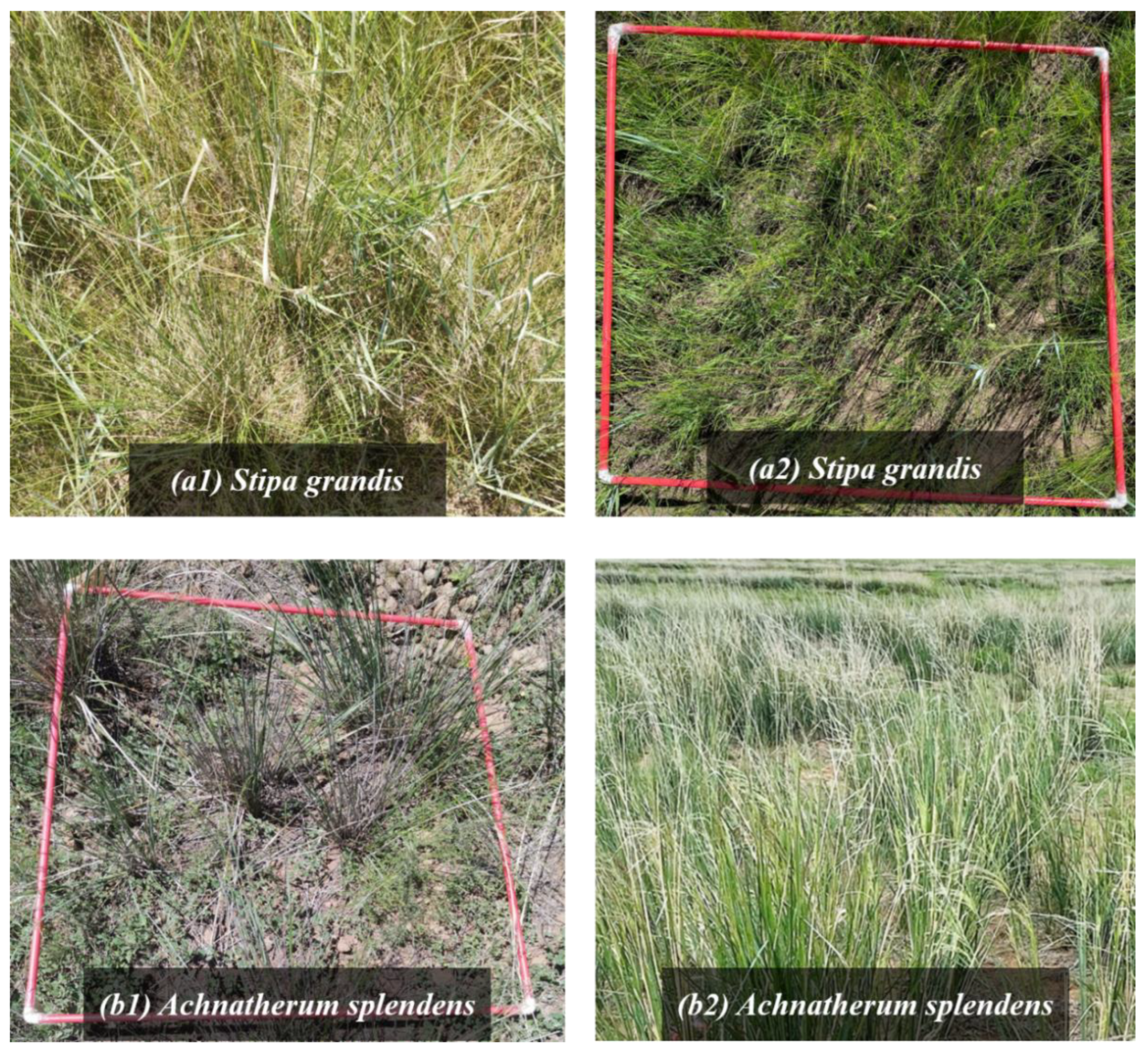 Remotesensing 14 03751 g006