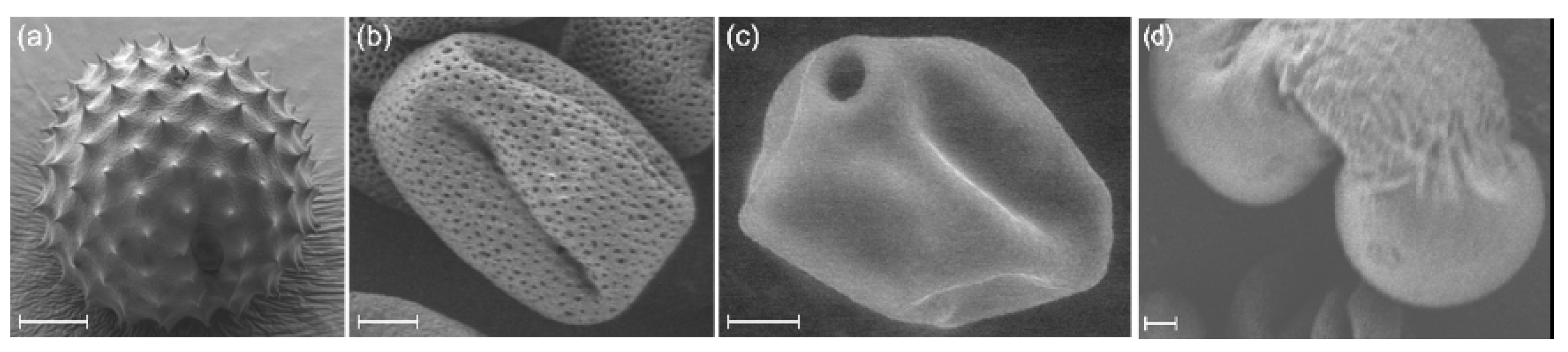 Remotesensing 14 03767 g001