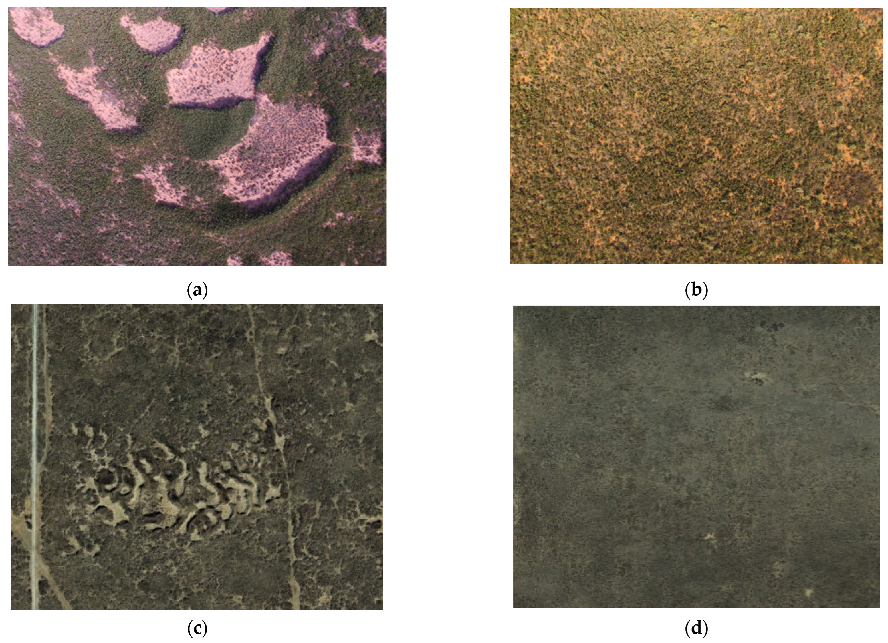 Remotesensing 14 03780 g002