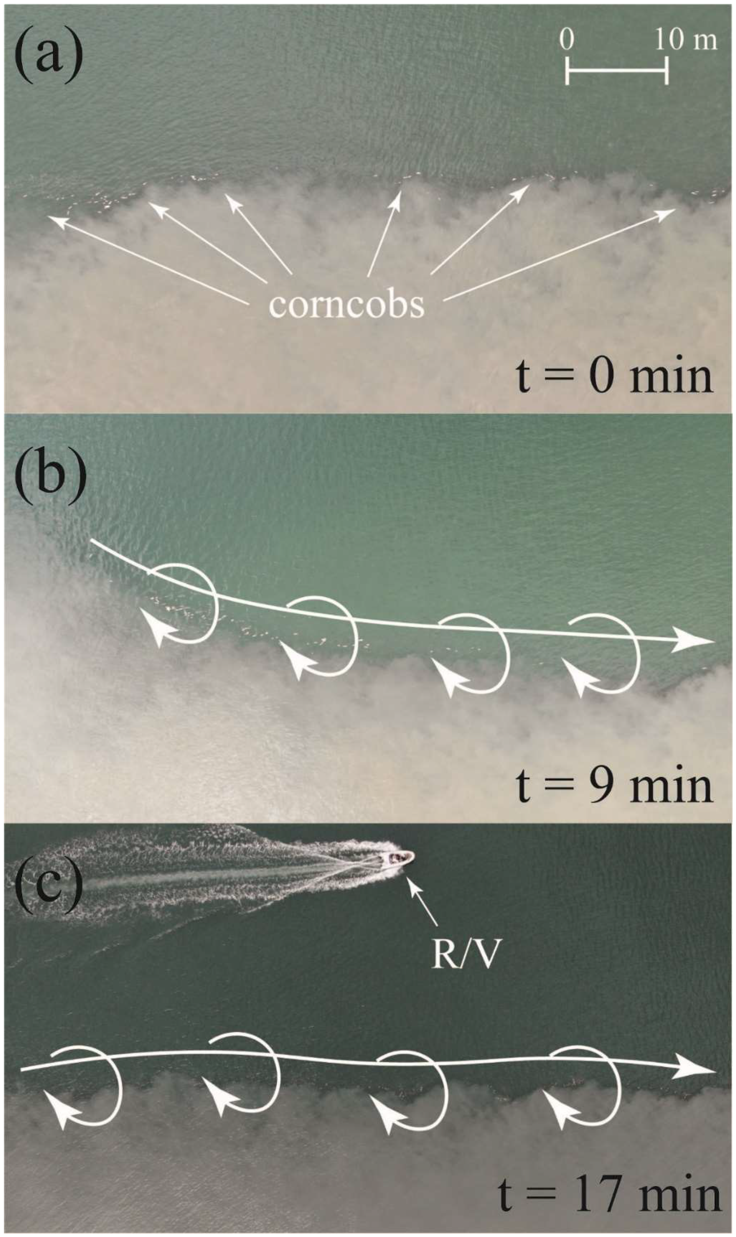 Remotesensing 14 03818 g007