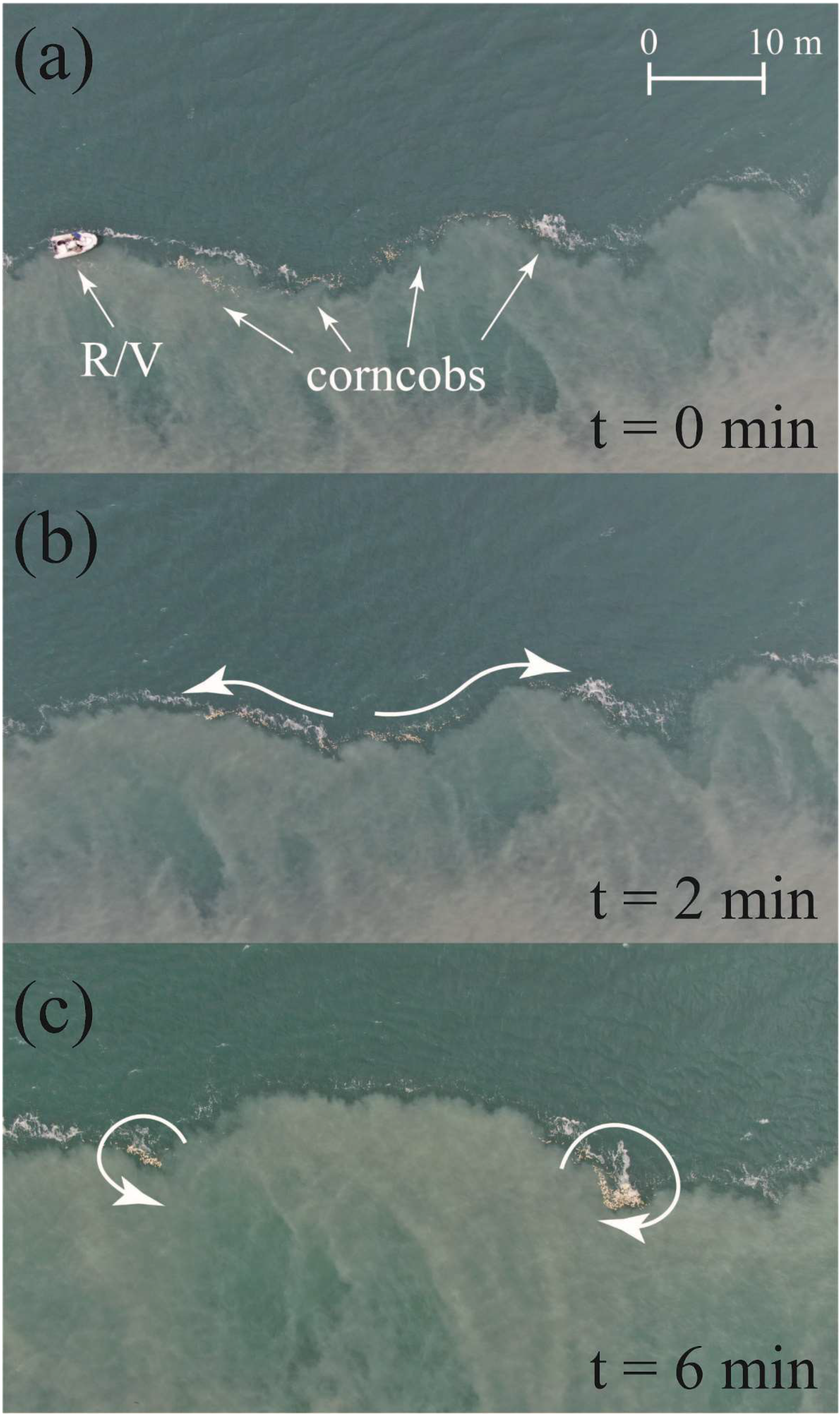 Remotesensing 14 03818 g008