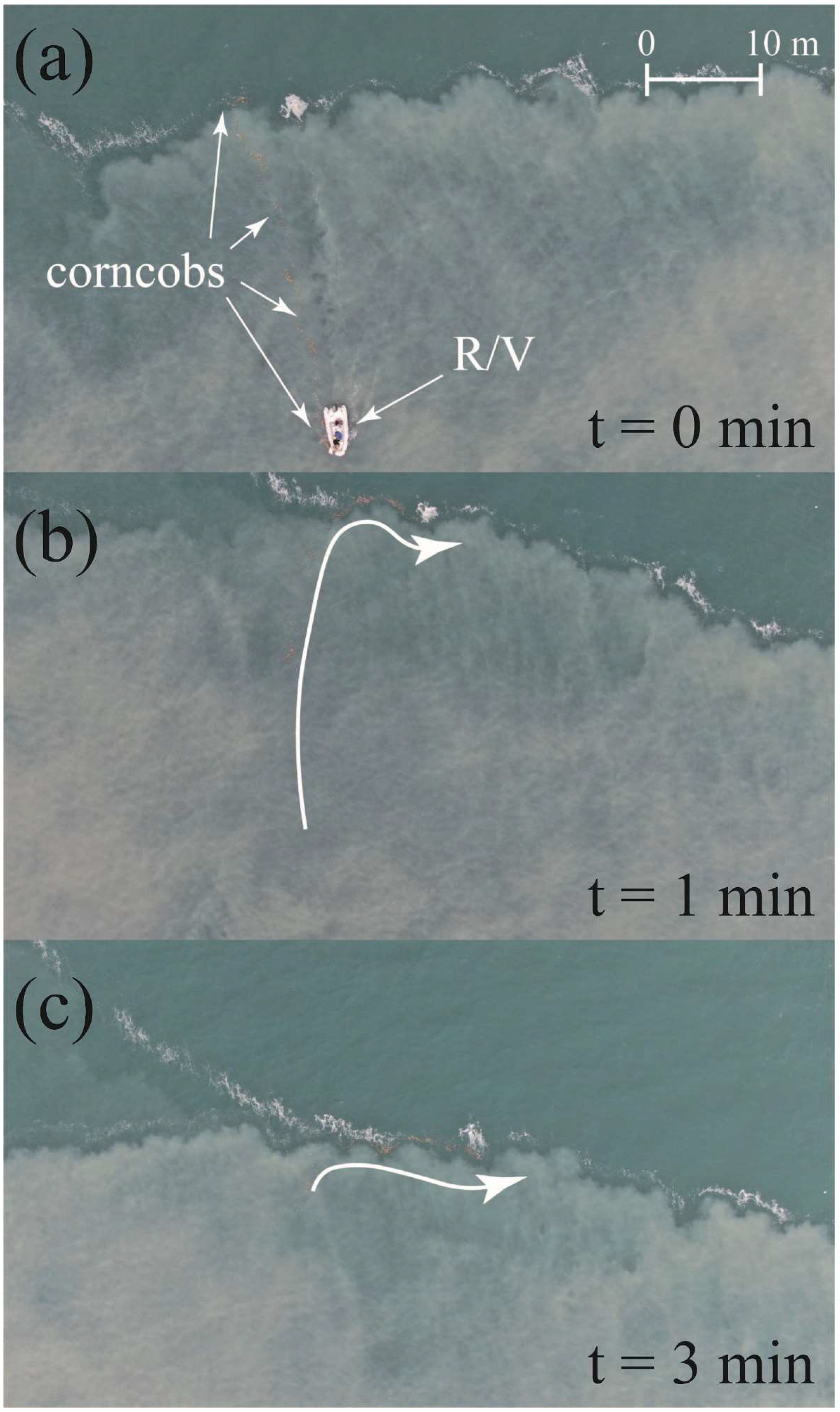 Remotesensing 14 03818 g009
